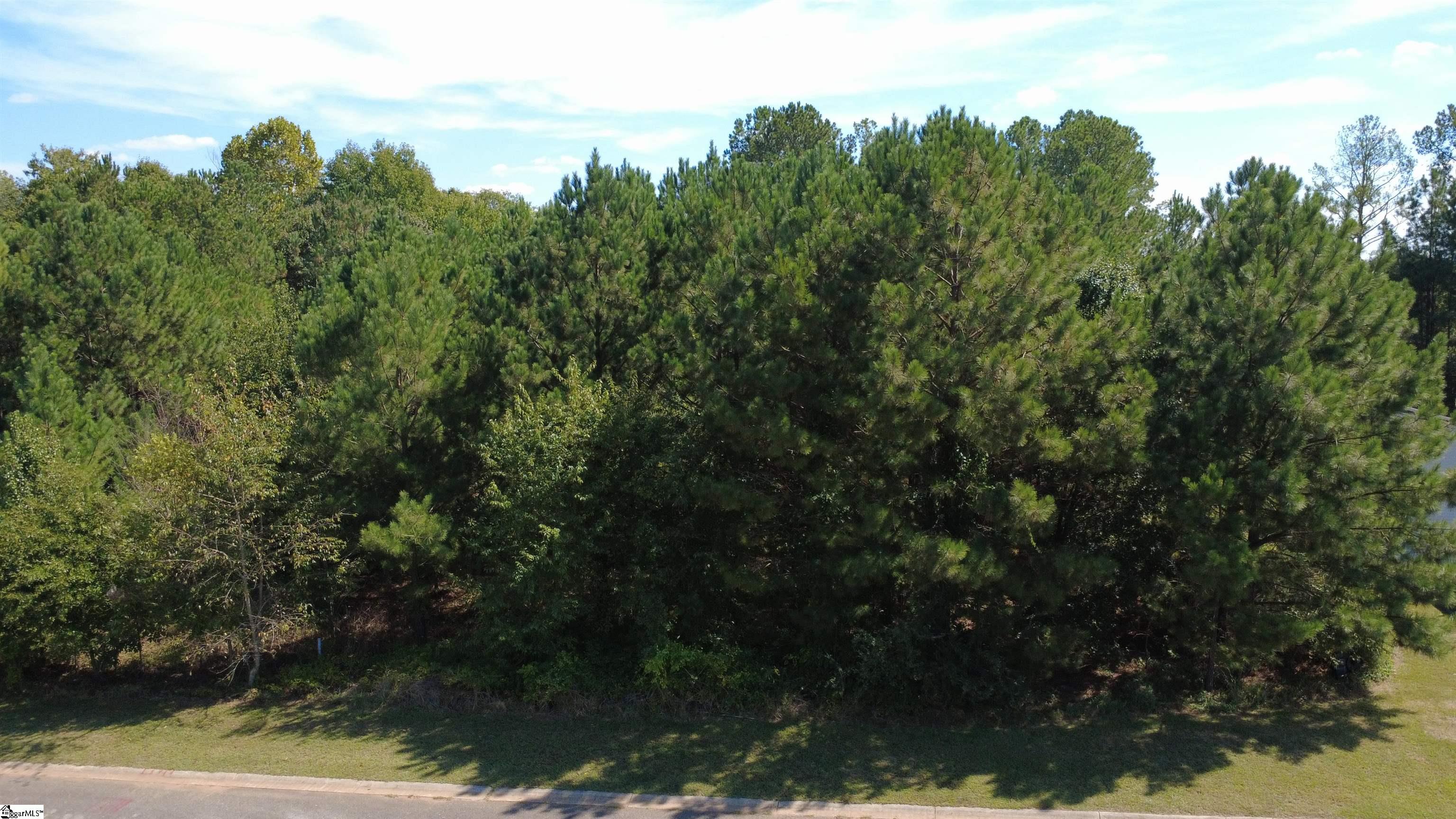 208 Carrageen Drive Property Photo 7