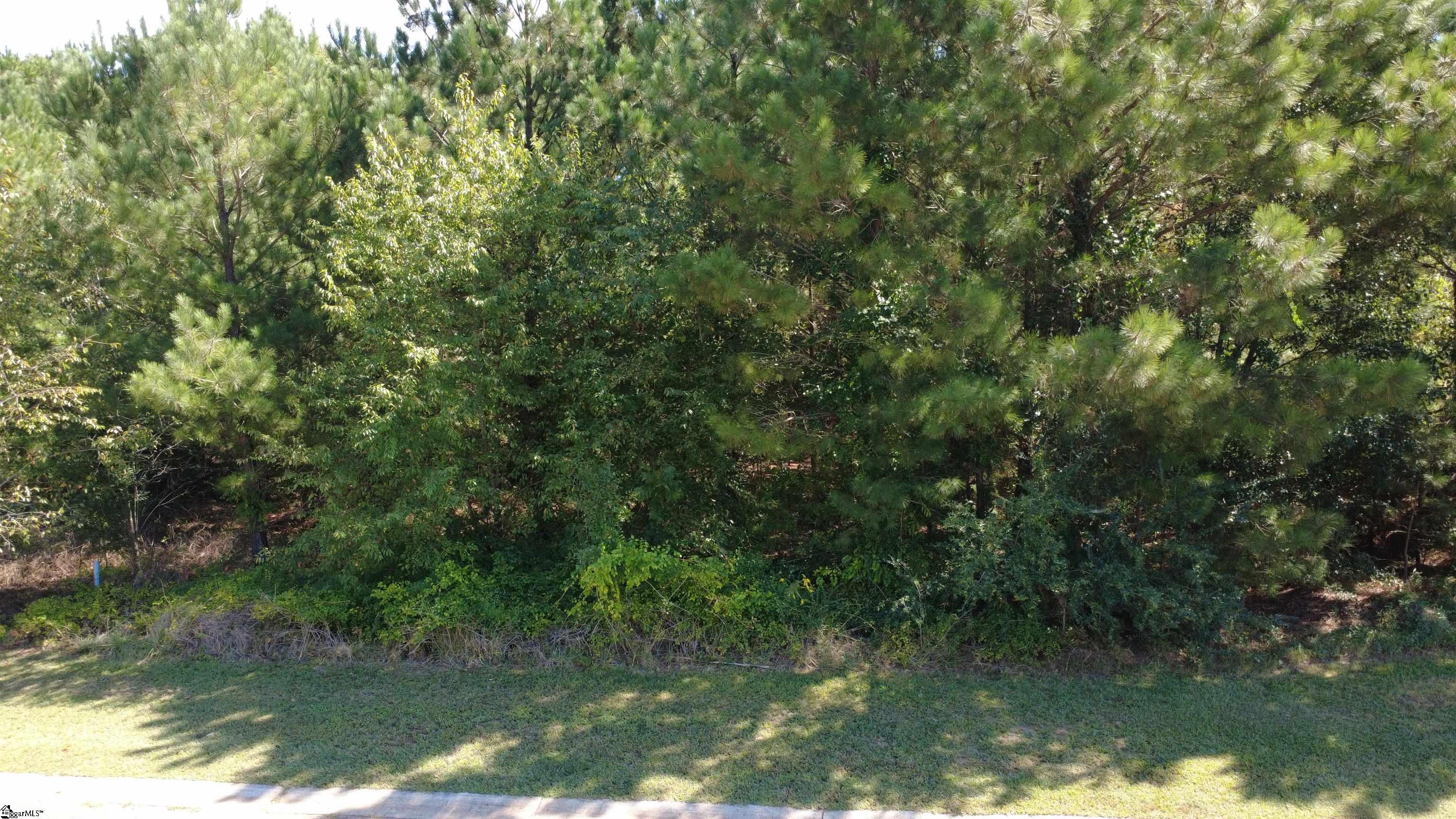 208 Carrageen Drive Property Photo 8