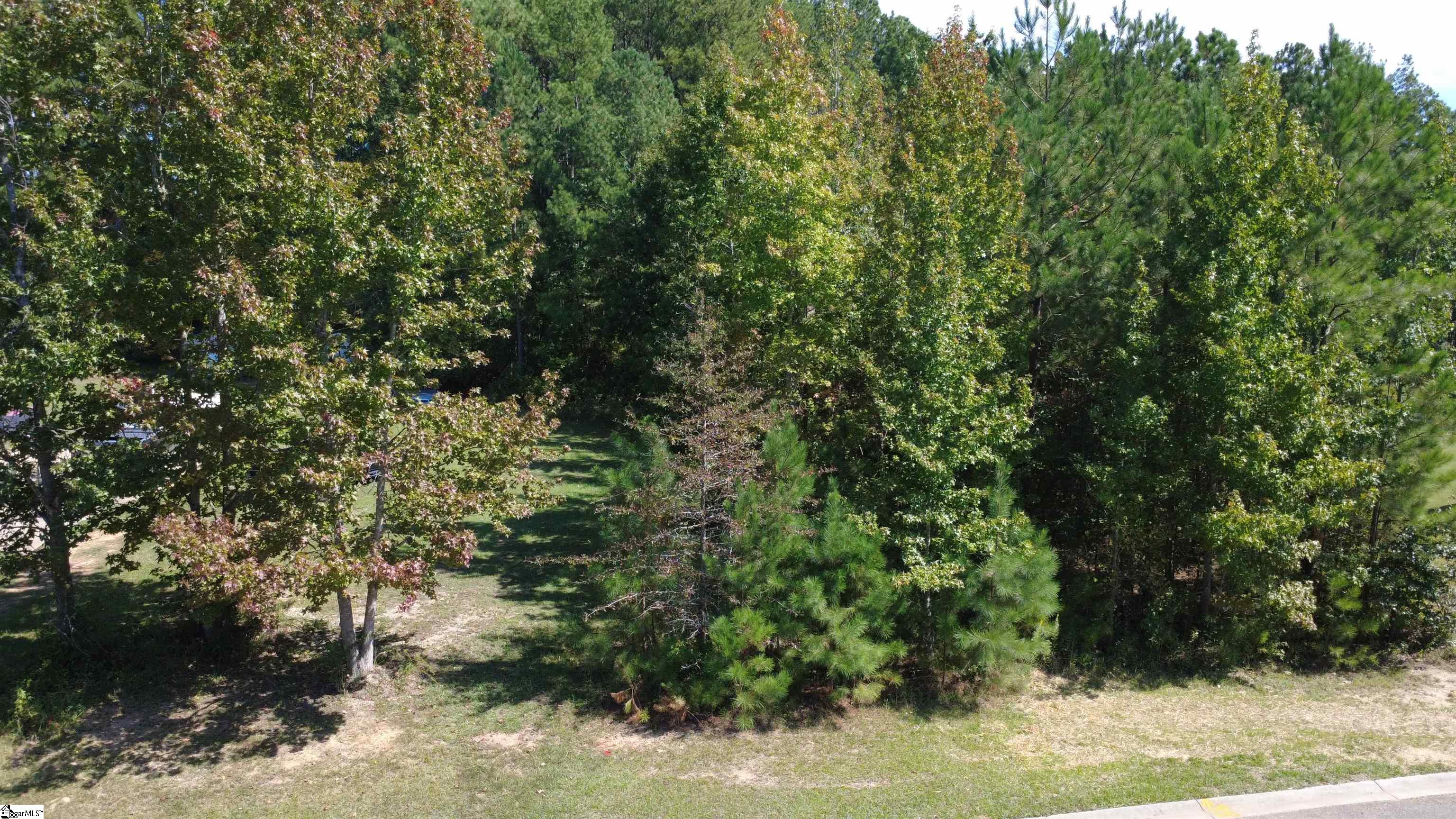 111 Irish Moss Drive Property Photo 4