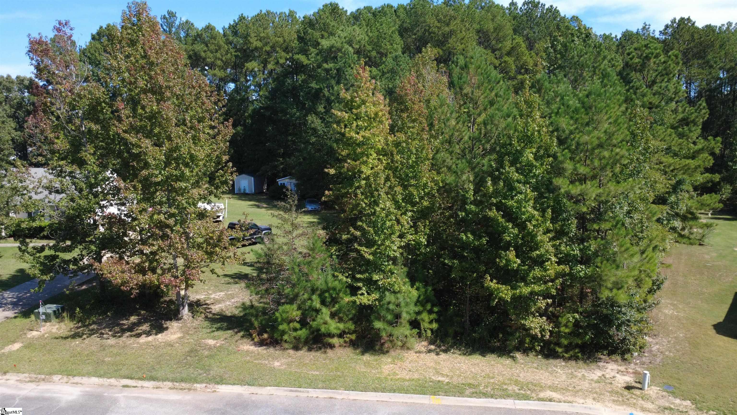111 Irish Moss Drive Property Photo 6