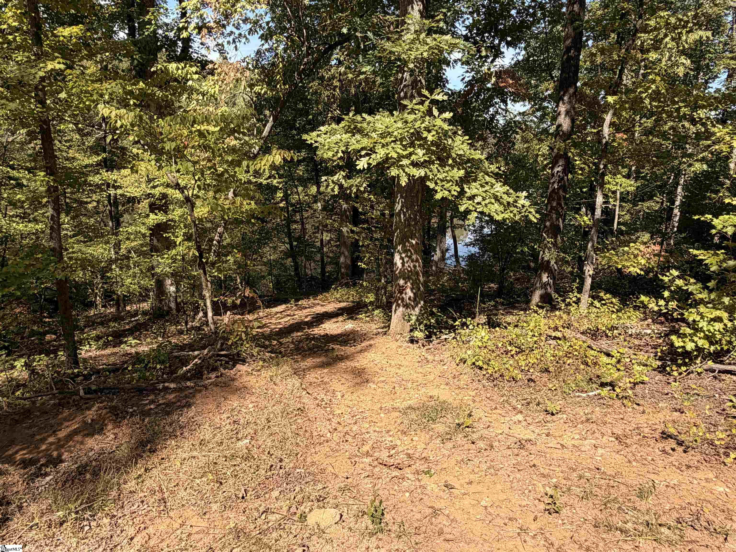 00 Saint Paul (tract A) Road Property Photo 10