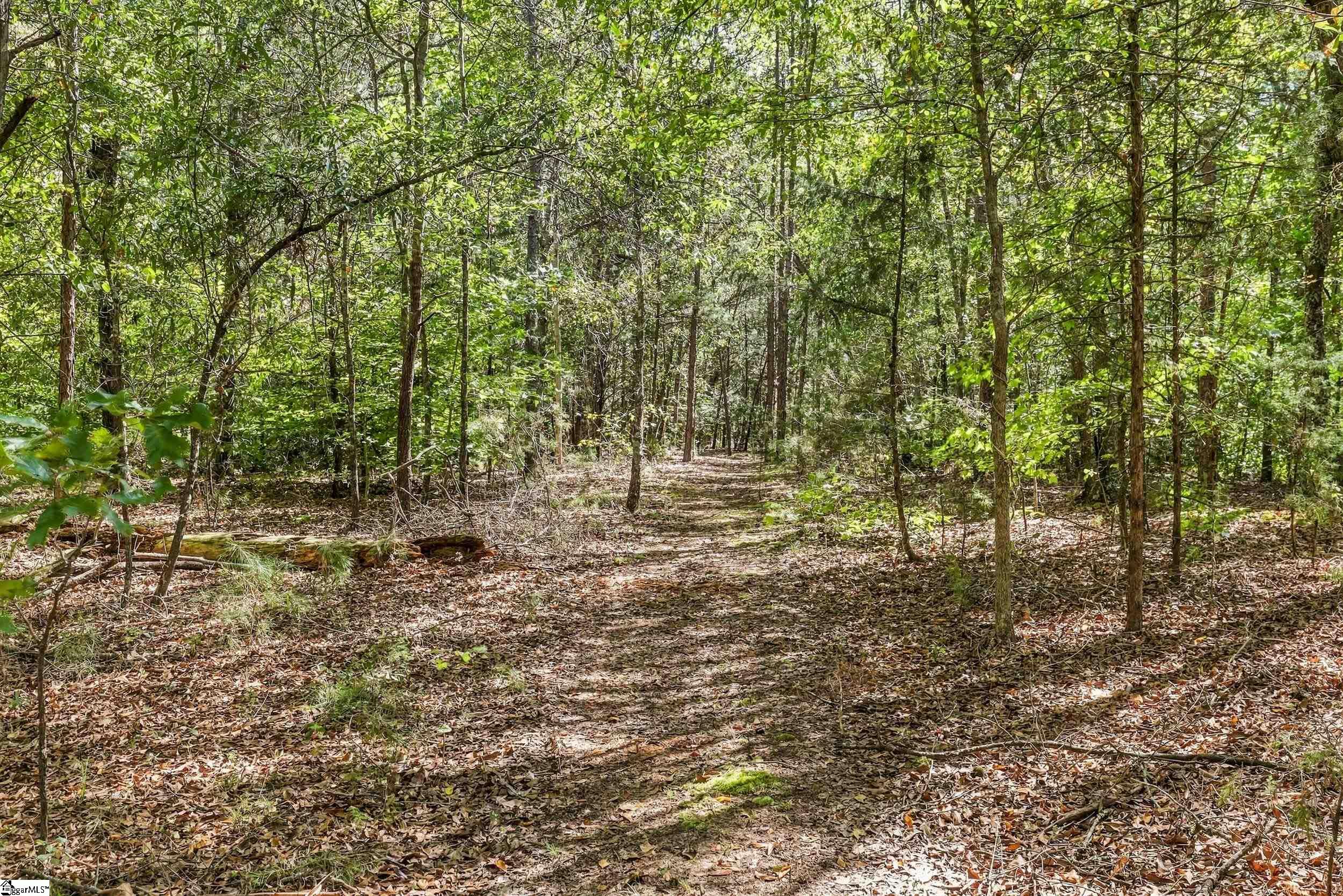 524 Charlies Creek Road Property Photo 22