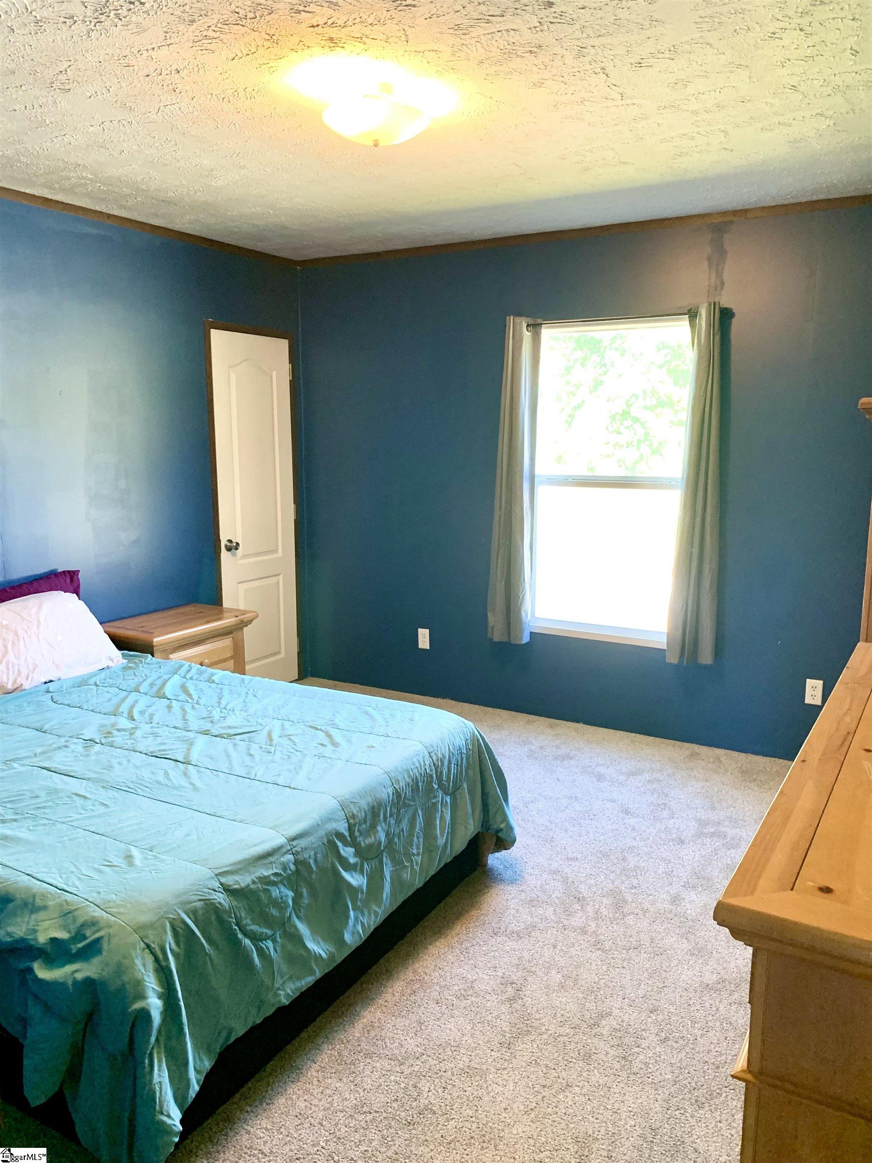 117 Marion Street Property Photo 29