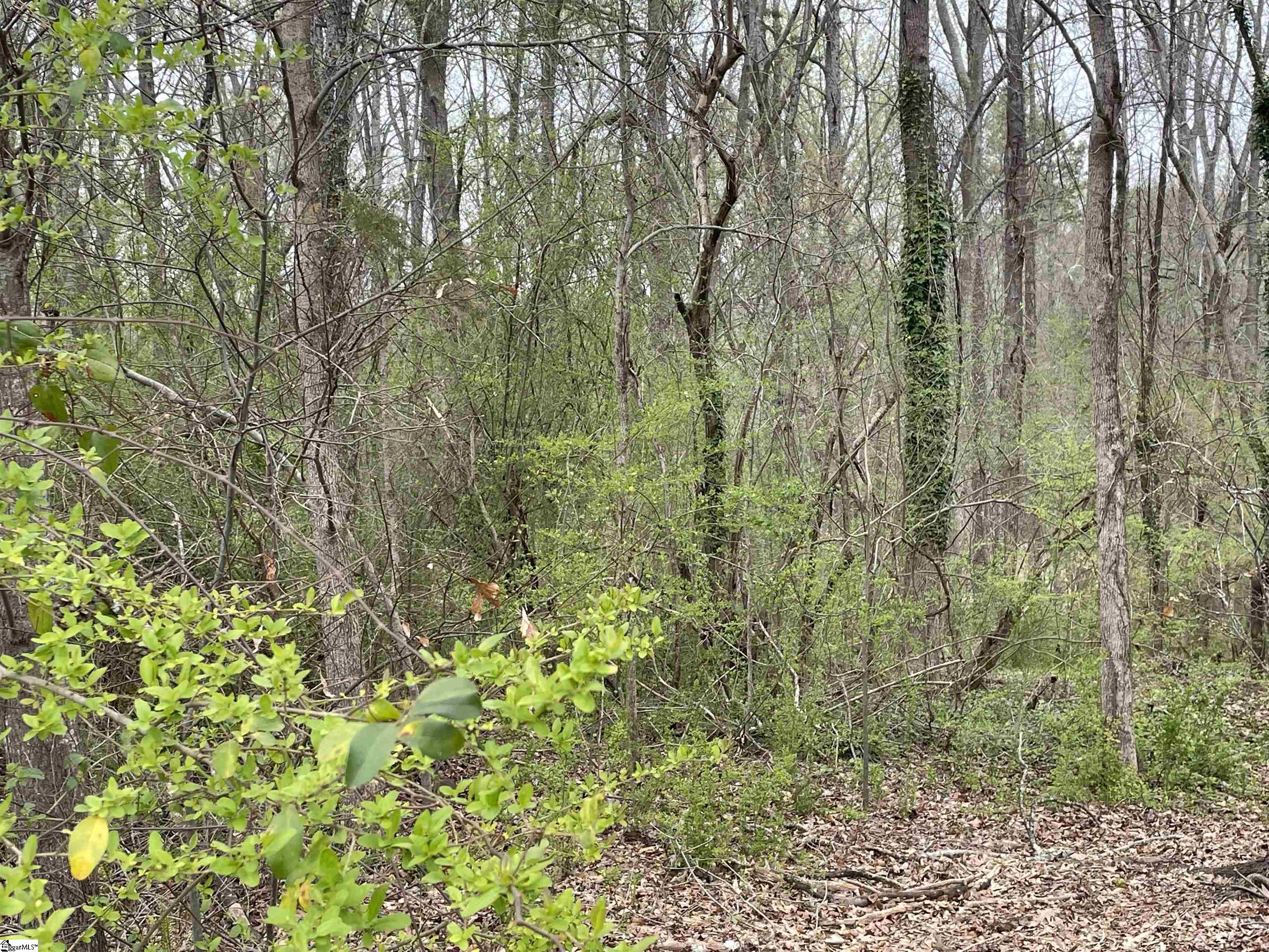 00 Highway 146 Property Photo 2