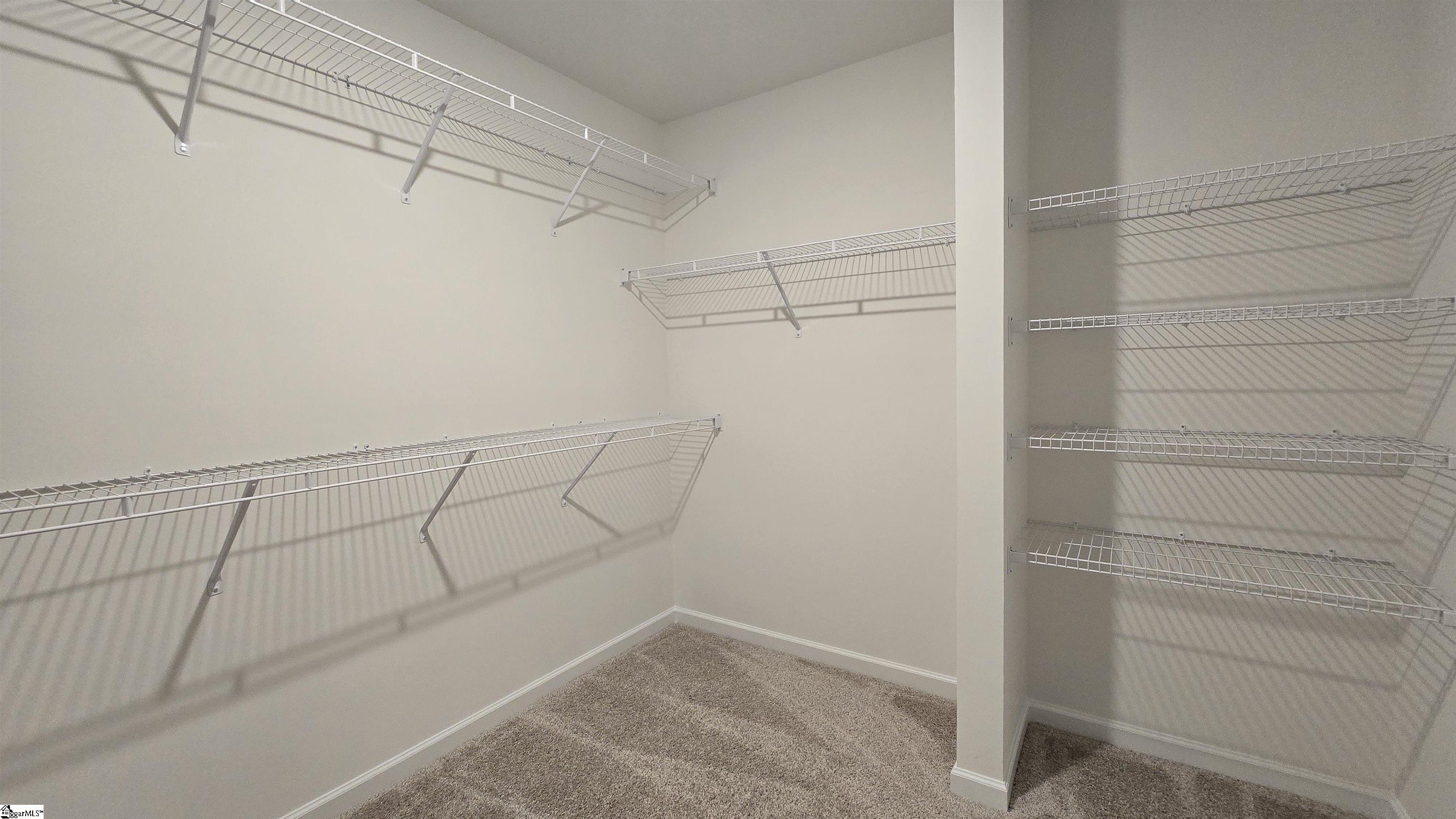 11 Halsey Street Property Photo 12
