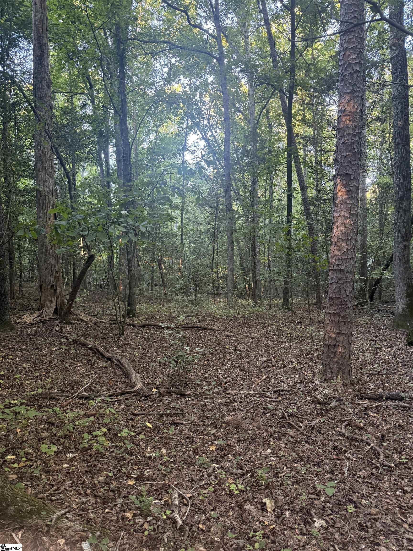 627 Daventon Road Property Photo 3