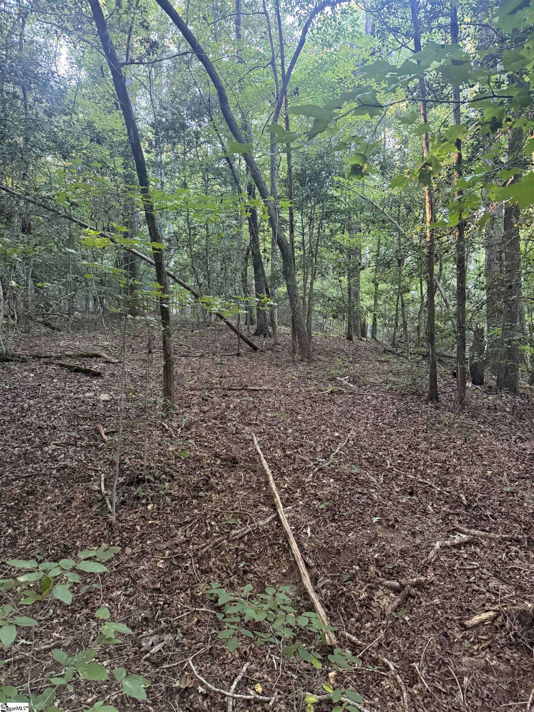 627 Daventon Road Property Photo 4