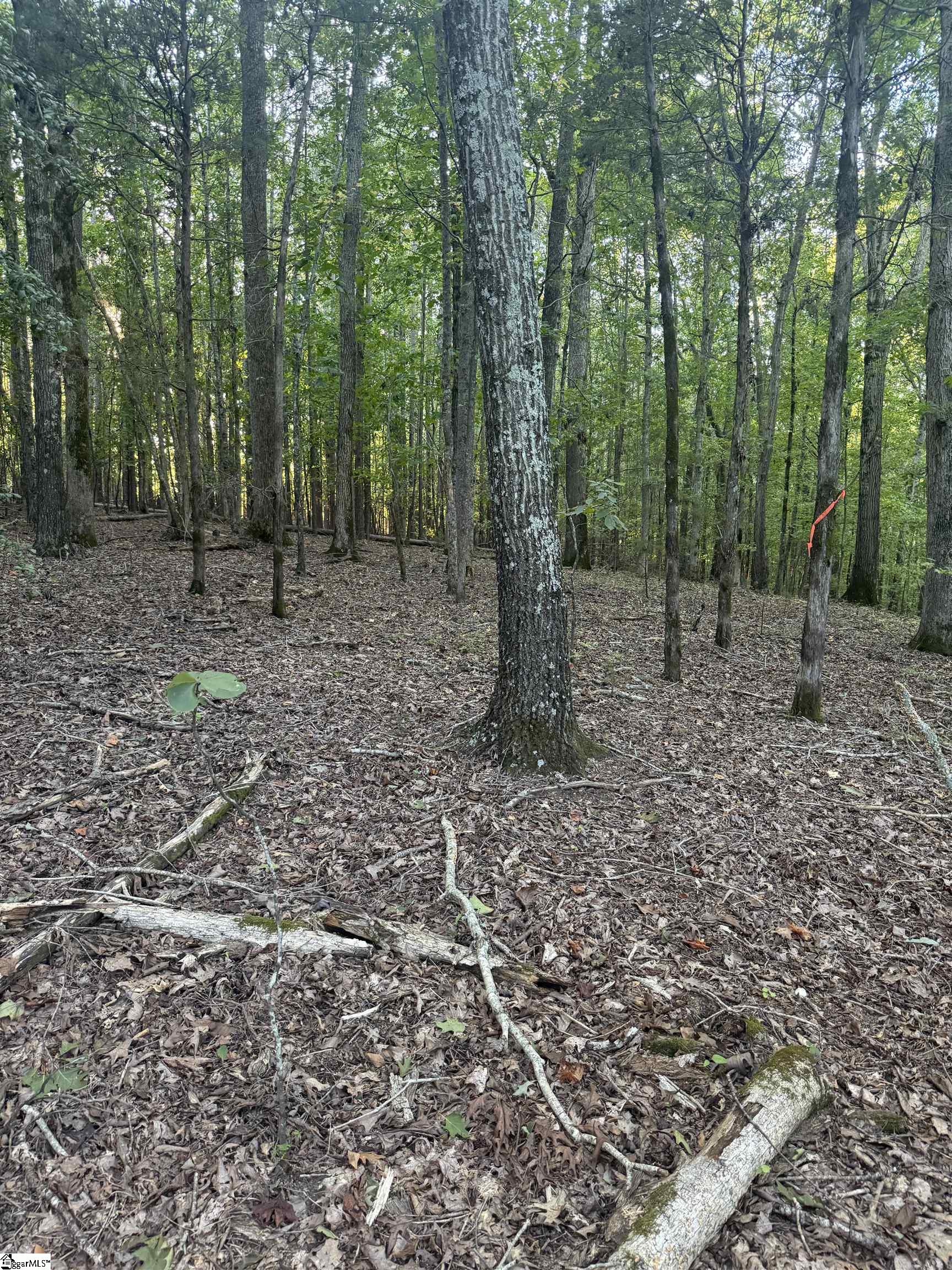 627 Daventon Road Property Photo 7