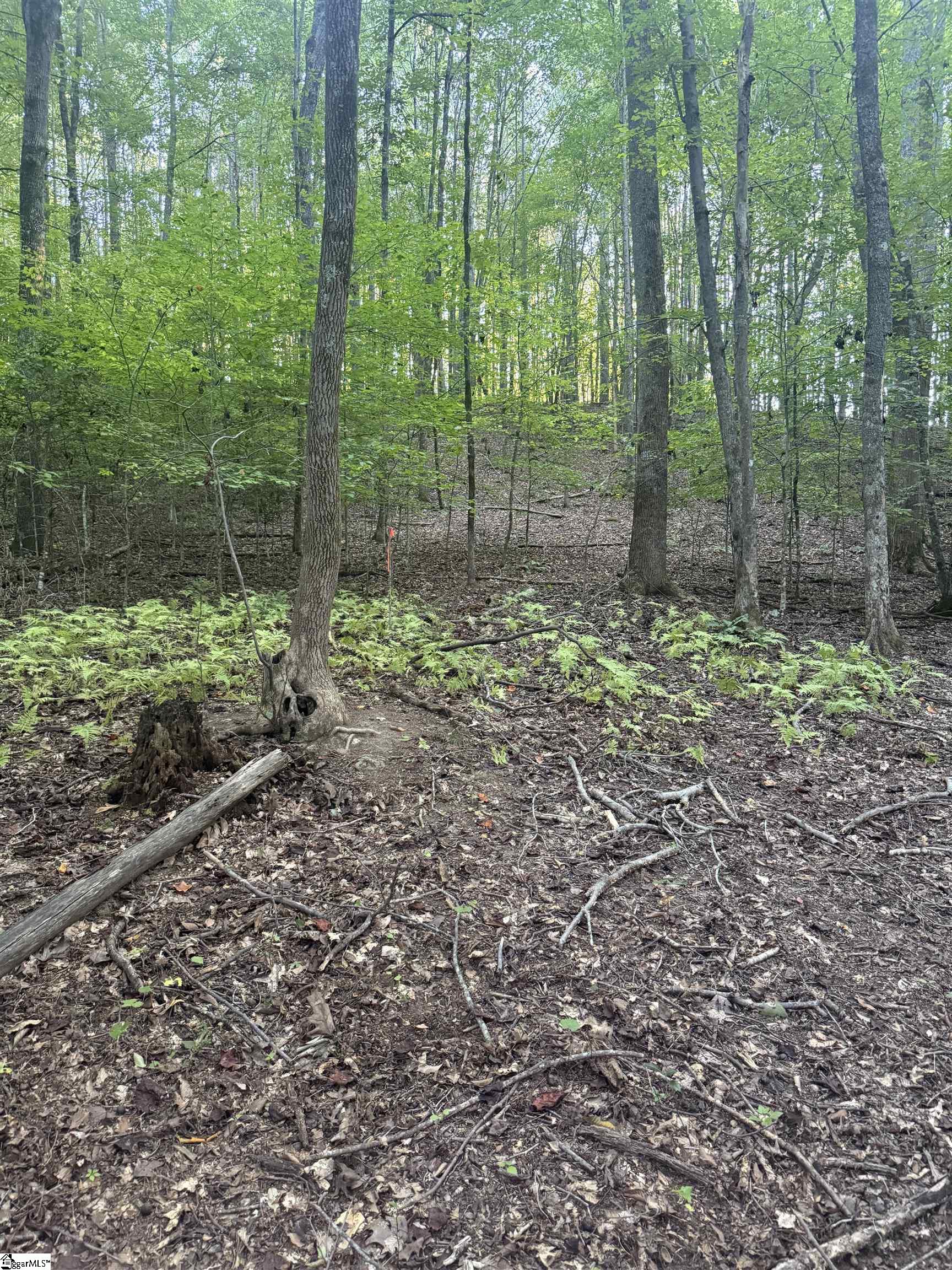 627 Daventon Road Property Photo 10