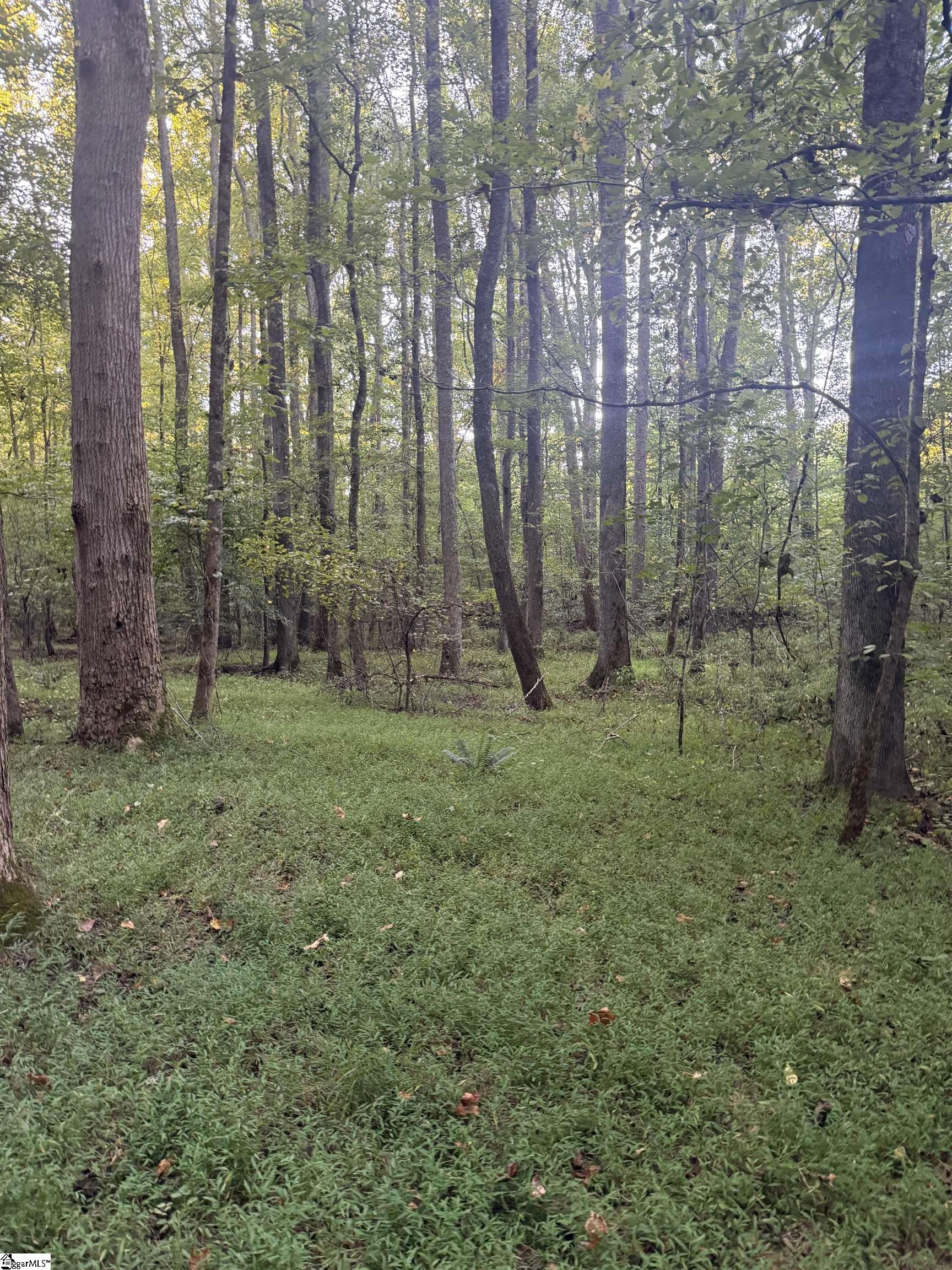 627 Daventon Road Property Photo 12