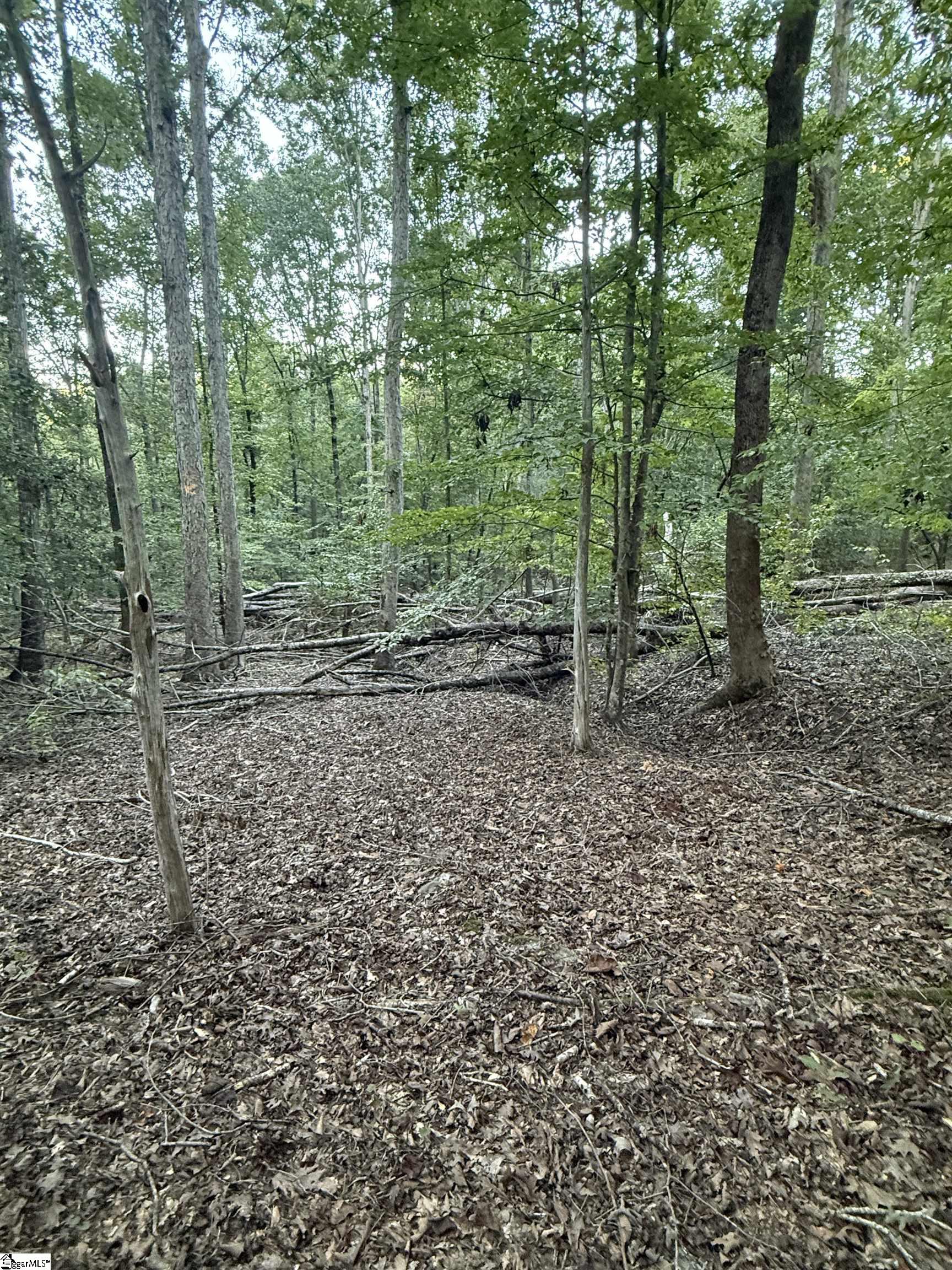 627 Daventon Road Property Photo 15