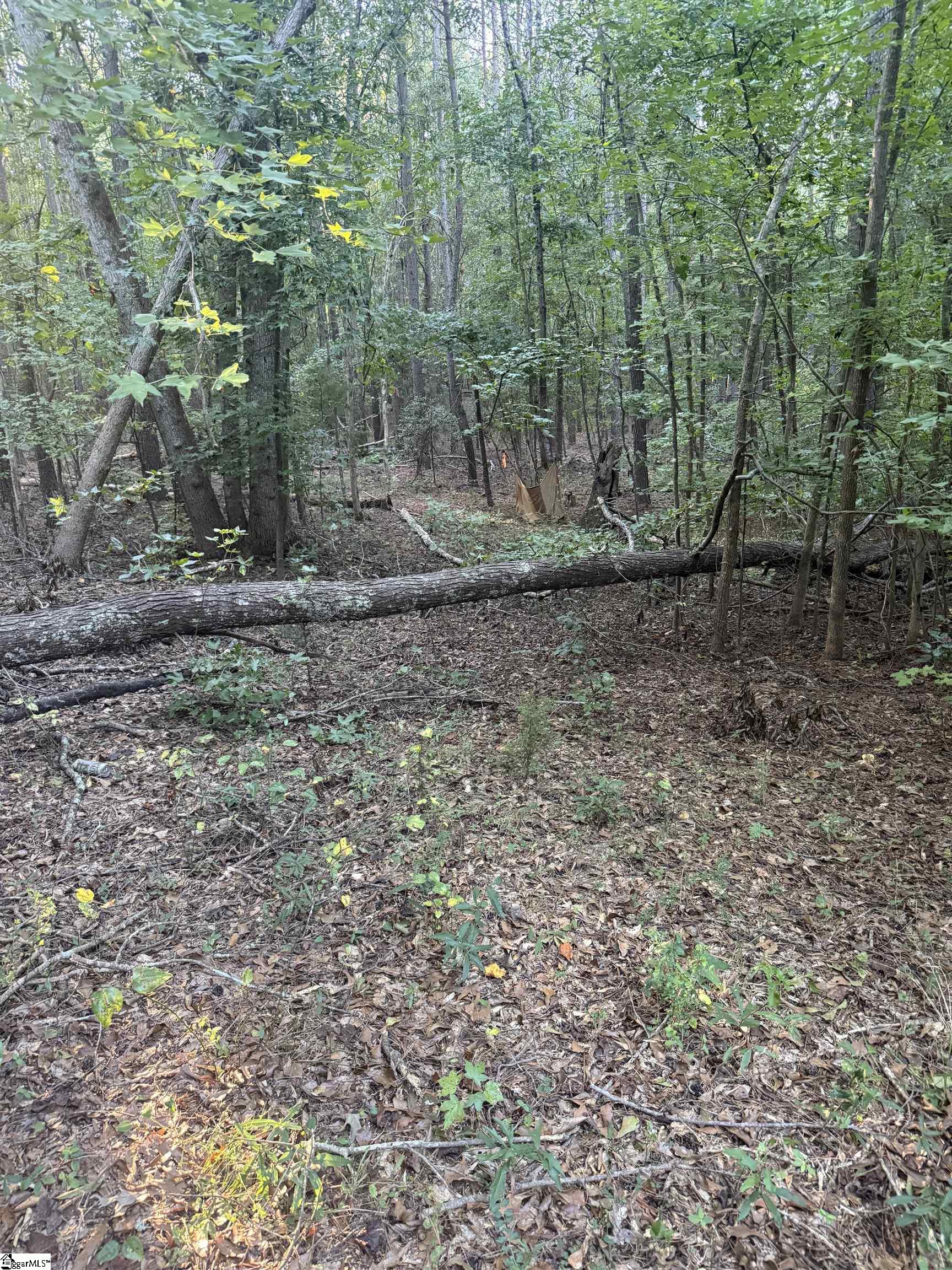 627 Daventon Road Property Photo 16