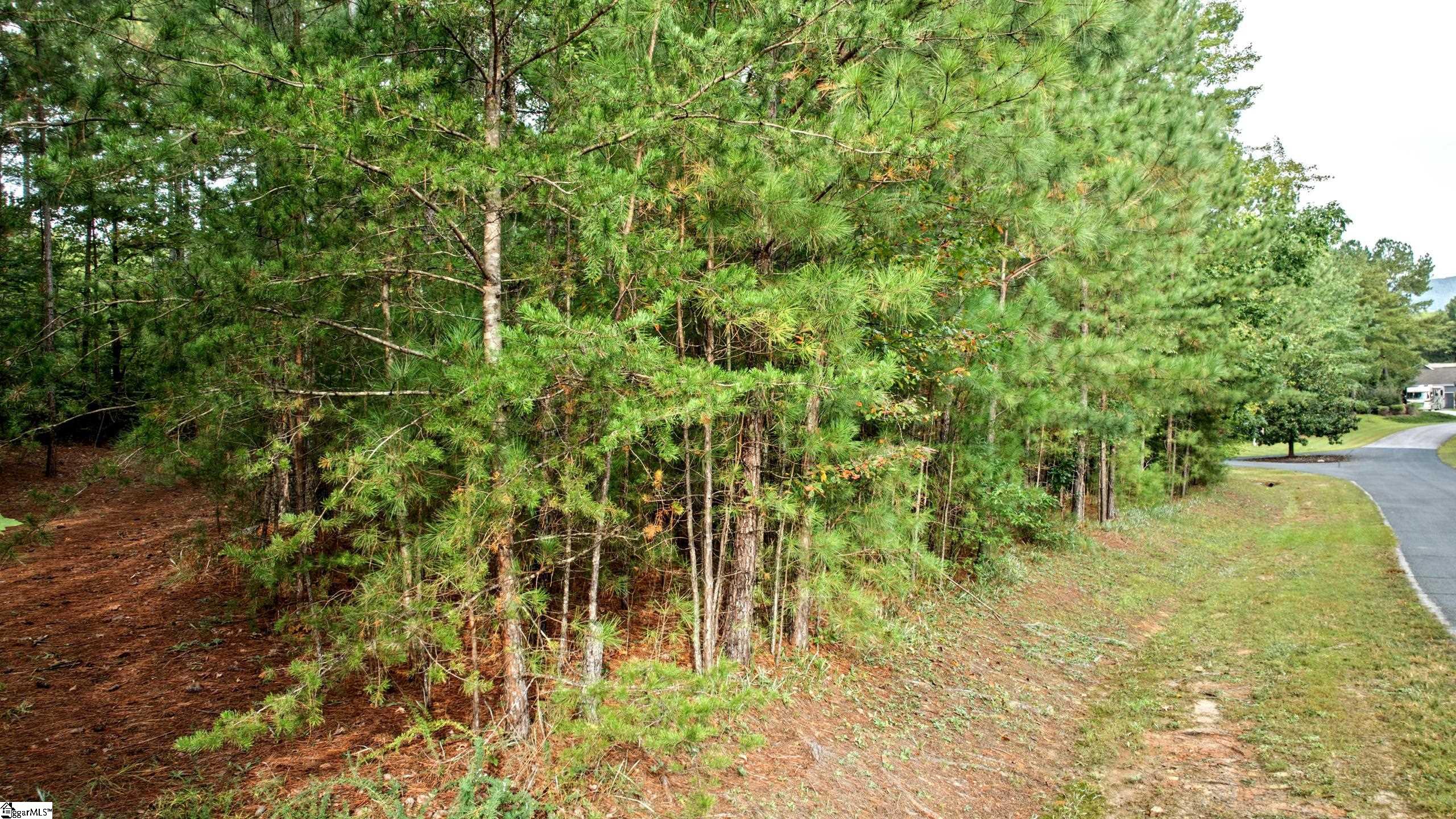 River Park Lane Property Photo 8