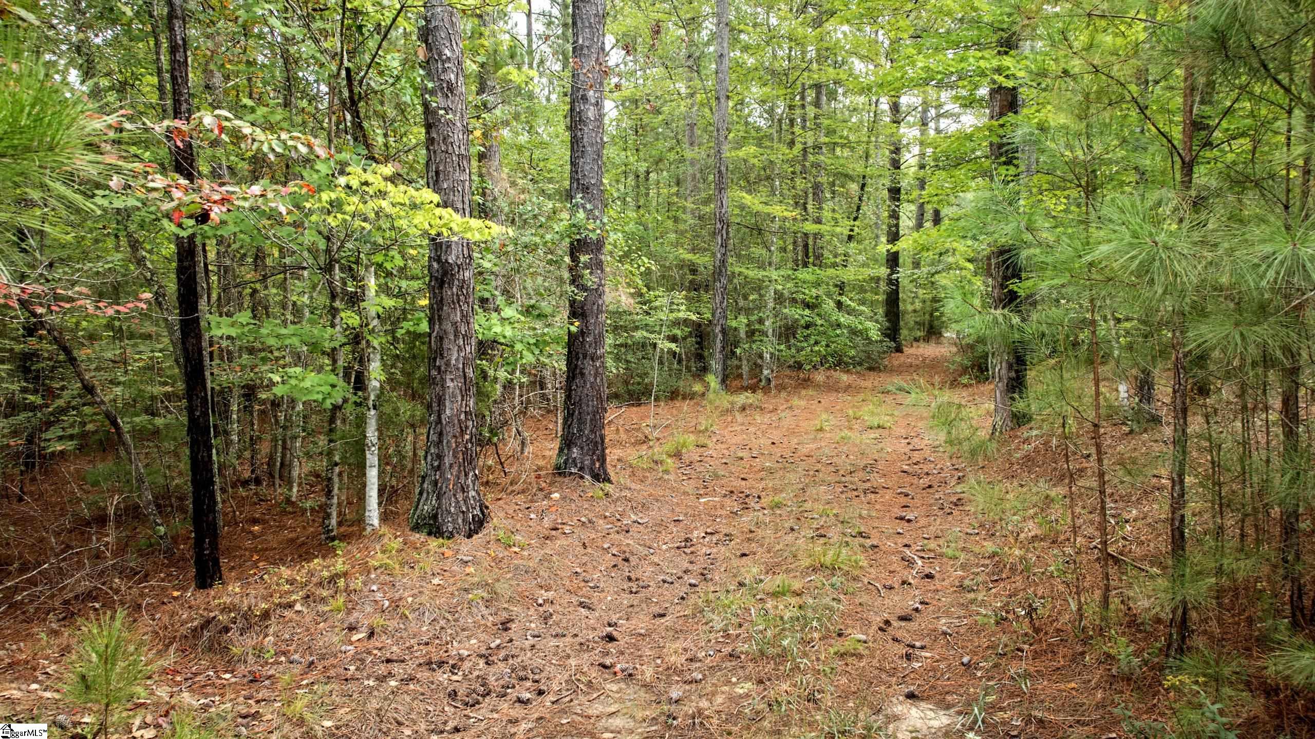 River Park Lane Property Photo 10