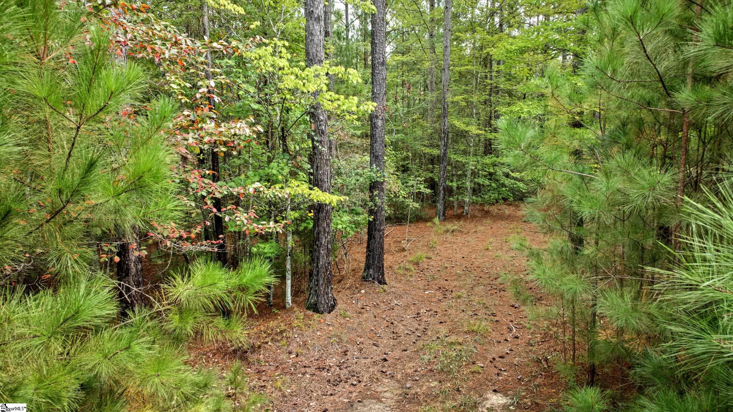 River Park Lane Property Photo 11