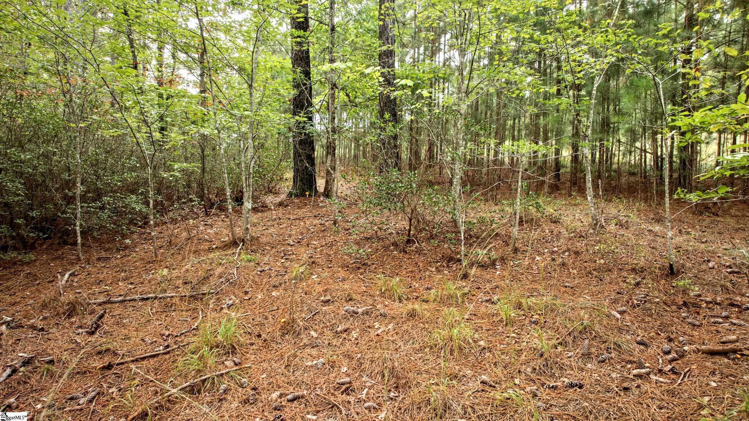 River Park Lane Property Photo 13