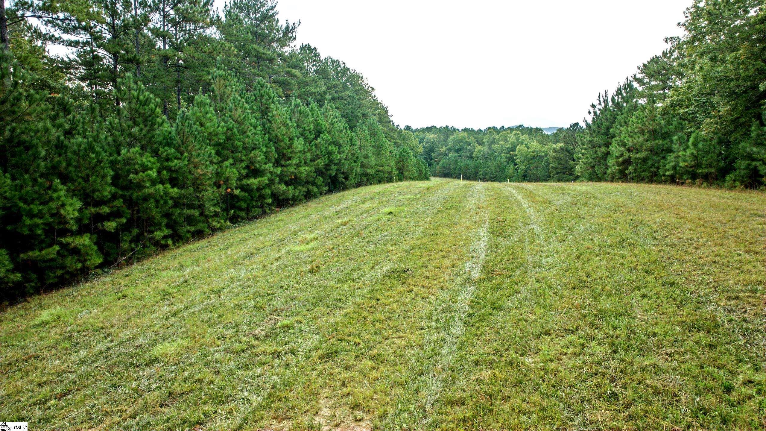 River Park Lane Property Photo 14