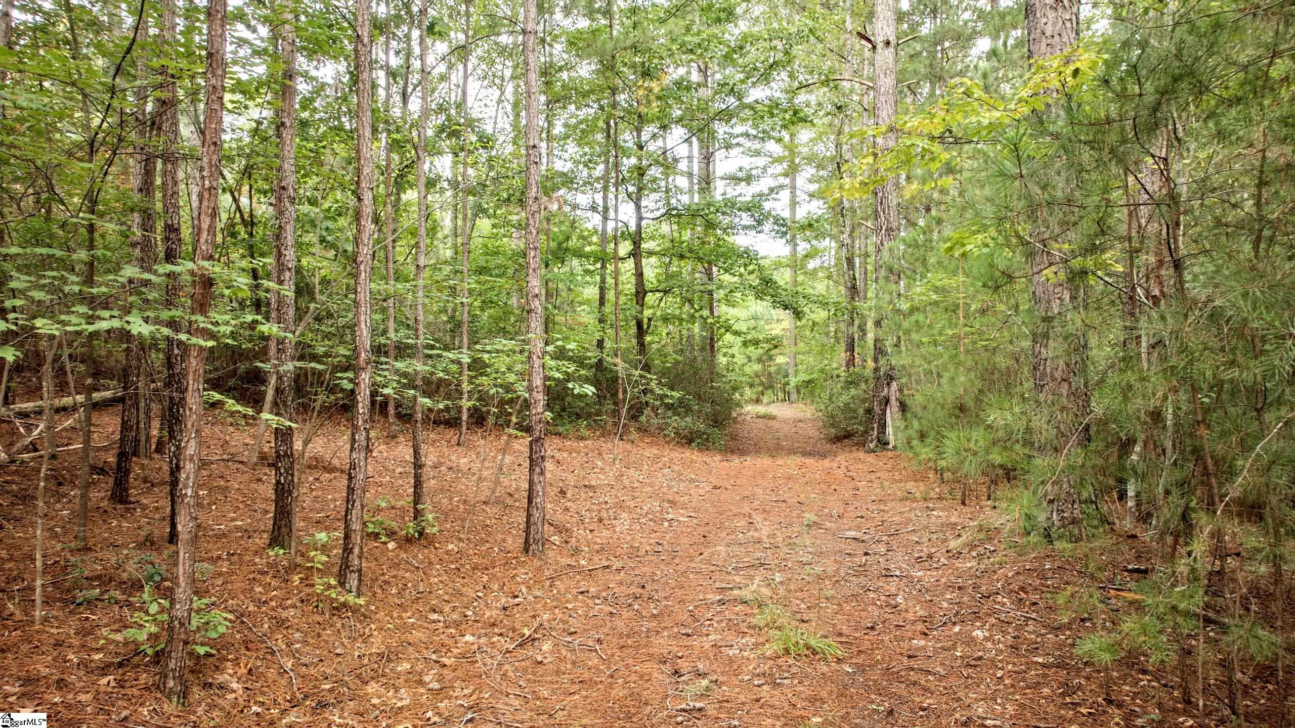 River Park Lane Property Photo 20