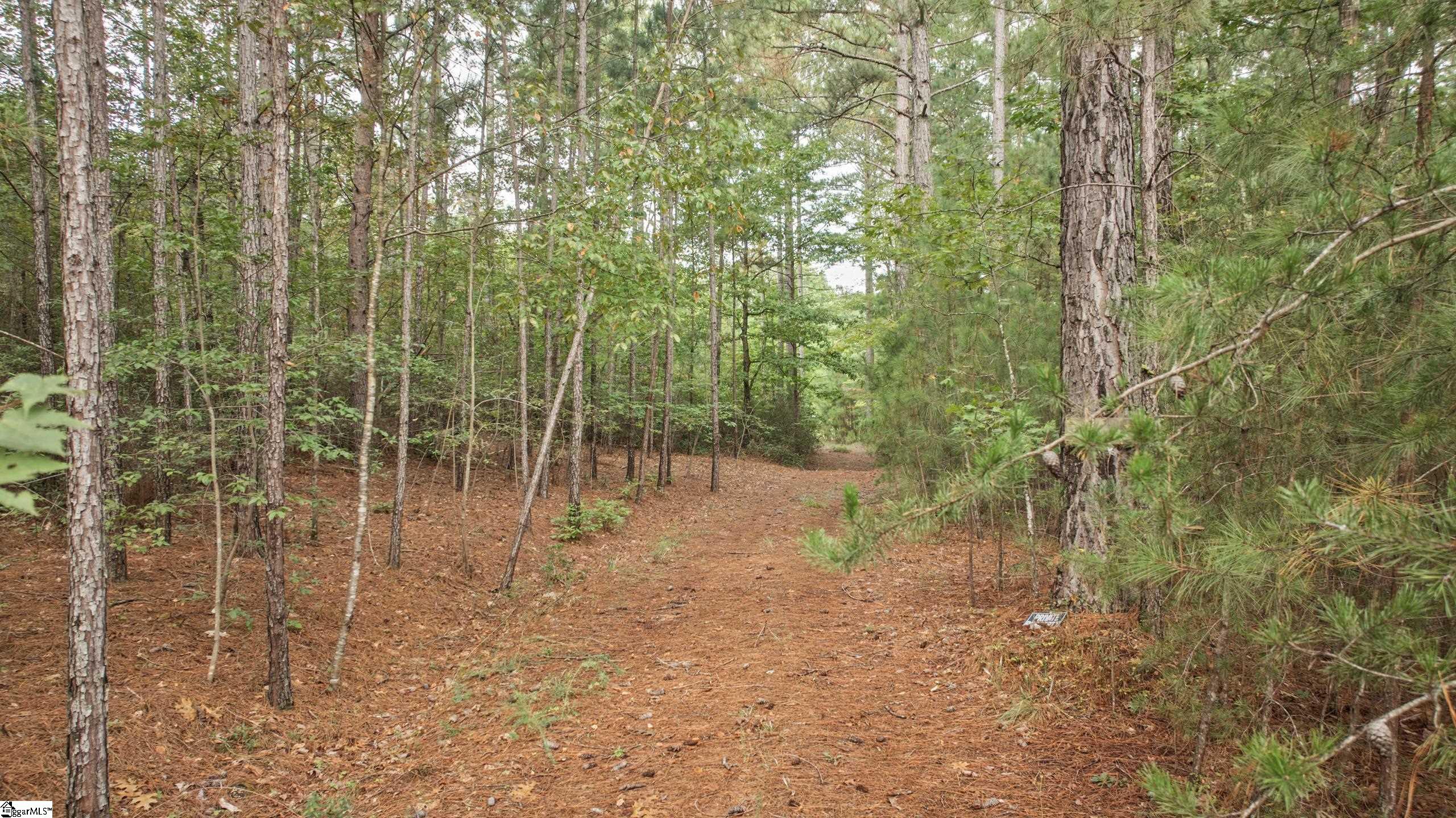 River Park Lane Property Photo 21