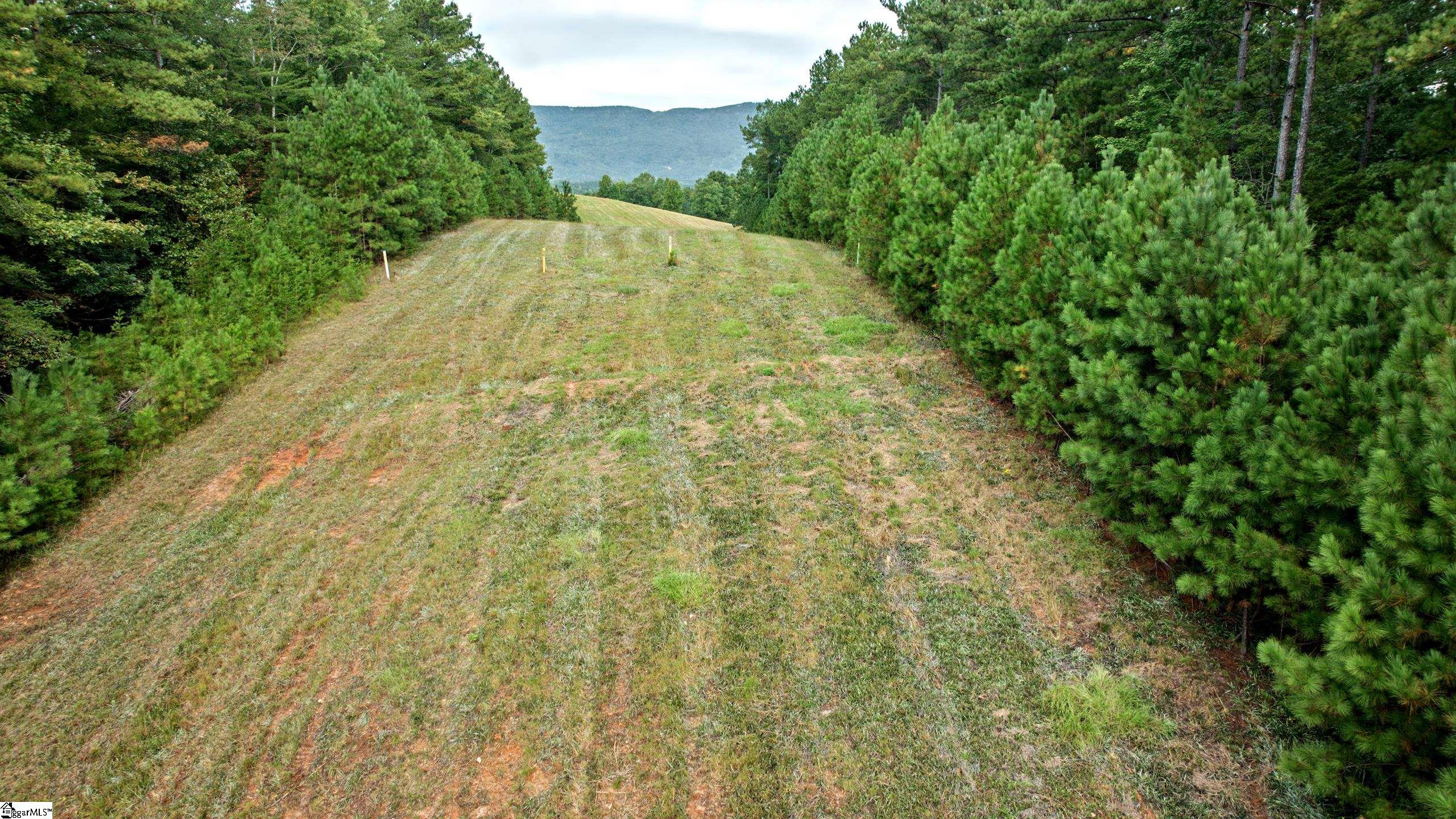 River Park Lane Property Photo 25