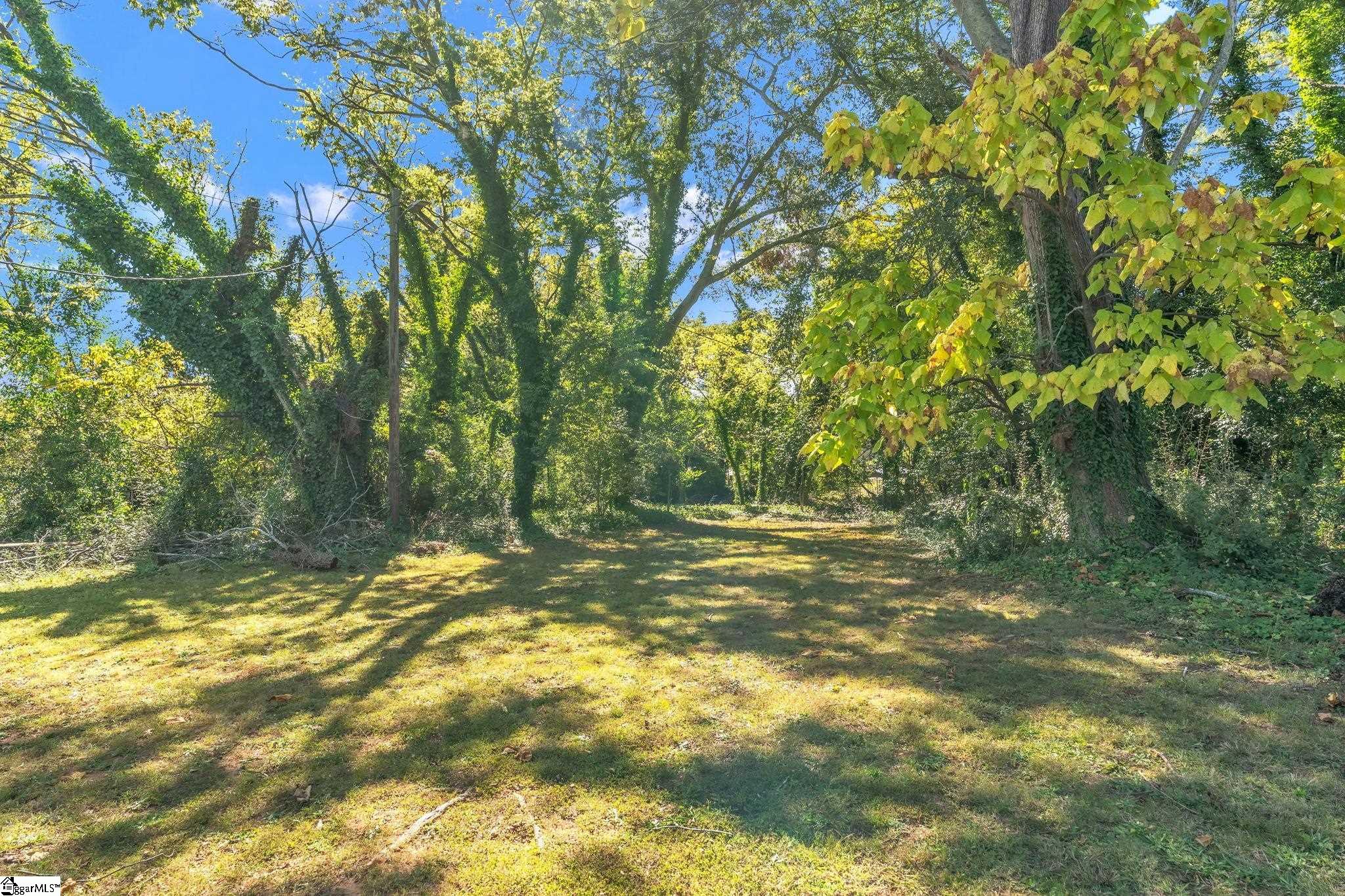 161 Home Street Property Photo 22