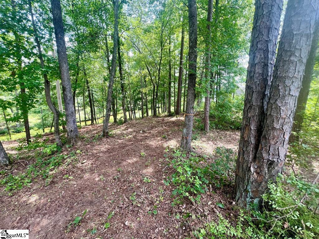 0 Lot 22 Waterside Point Property Photo 2