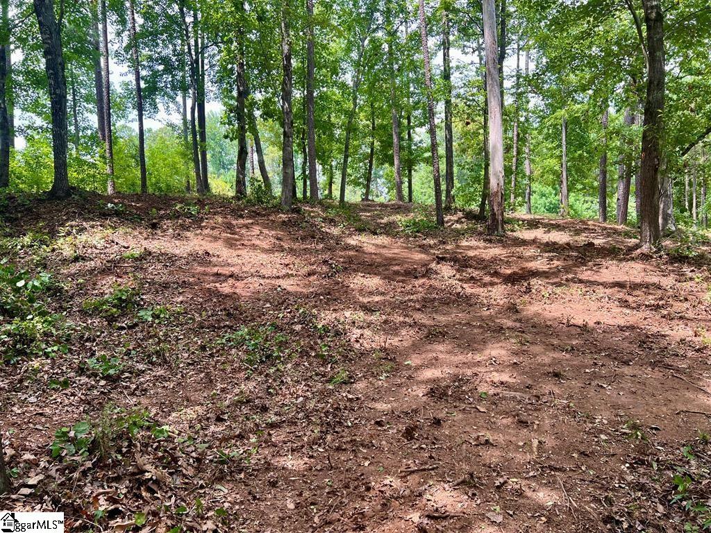 0 Lot 22 Waterside Point Property Photo 3