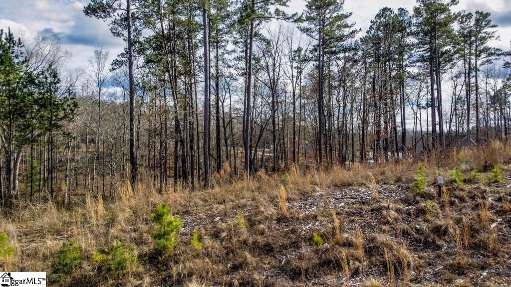0 Lot 22 Waterside Point Property Photo 4
