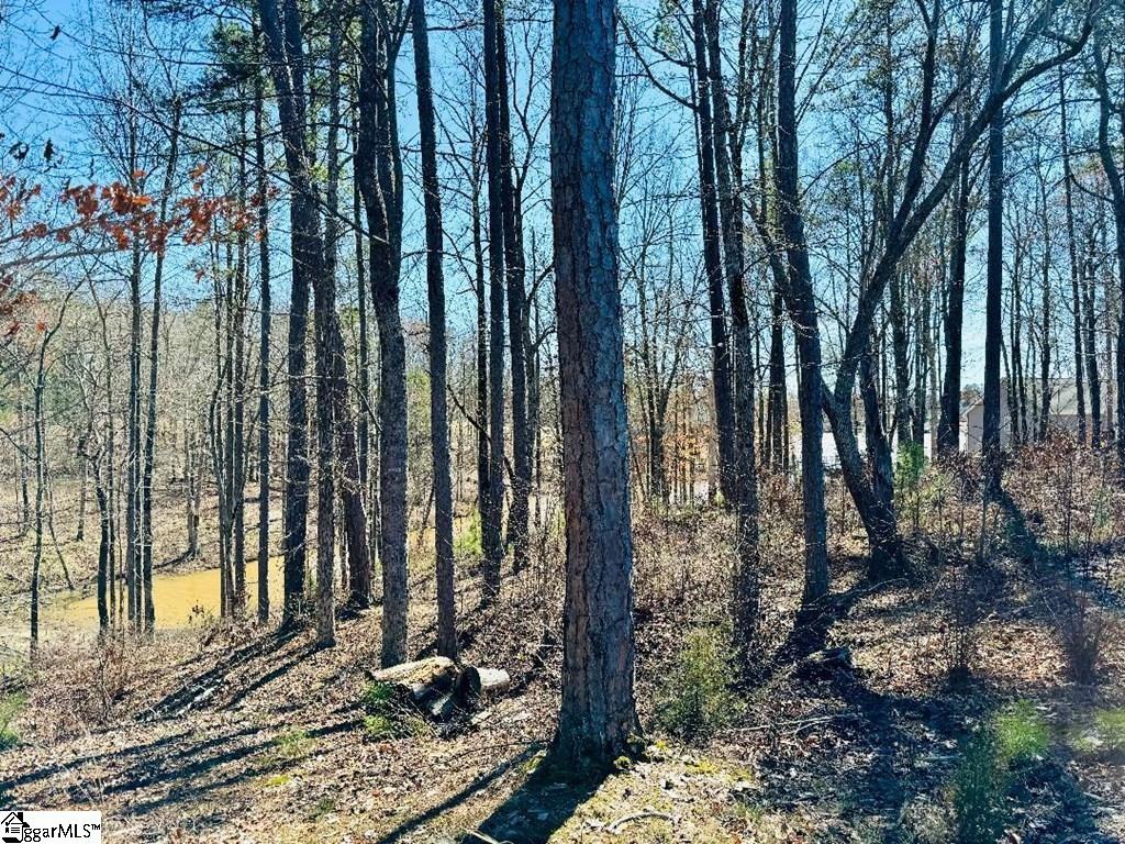 0 Lot 22 Waterside Point Property Photo 6