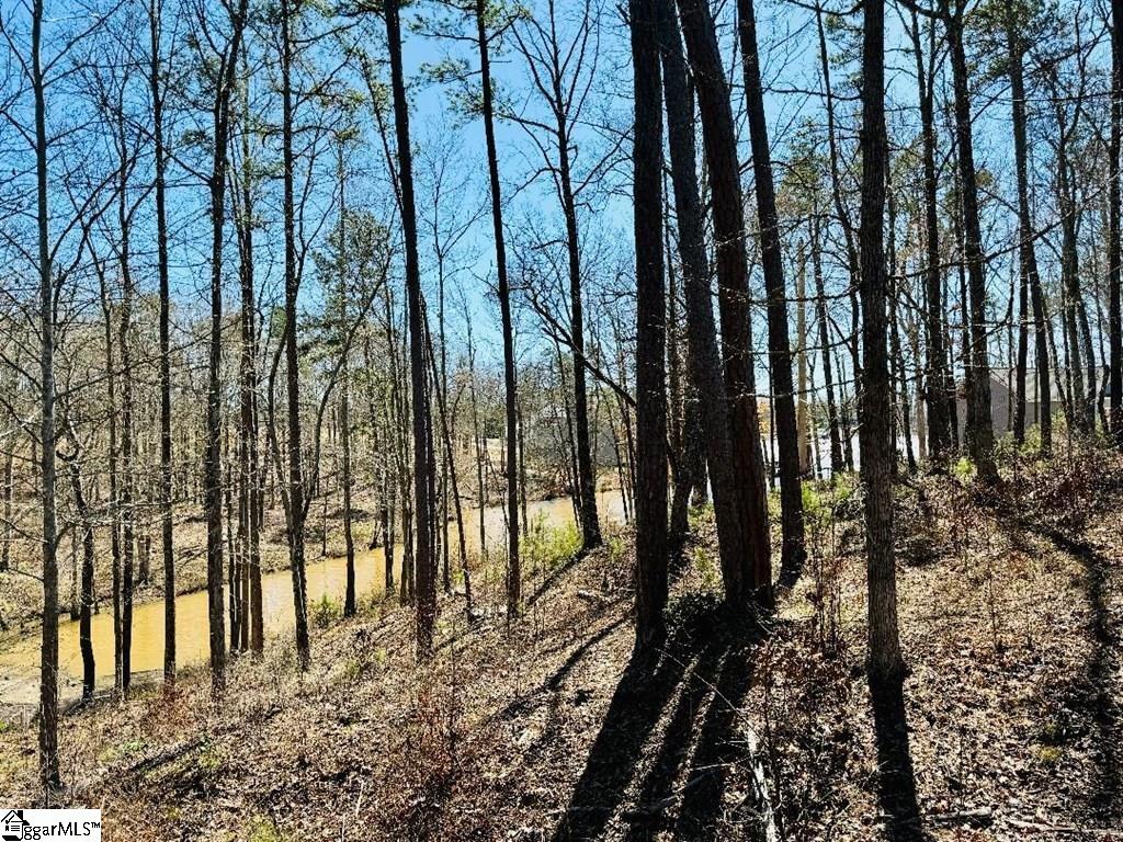0 Lot 22 Waterside Point Property Photo 7