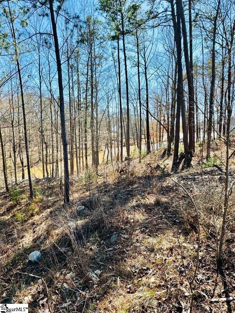 0 Lot 22 Waterside Point Property Photo 8
