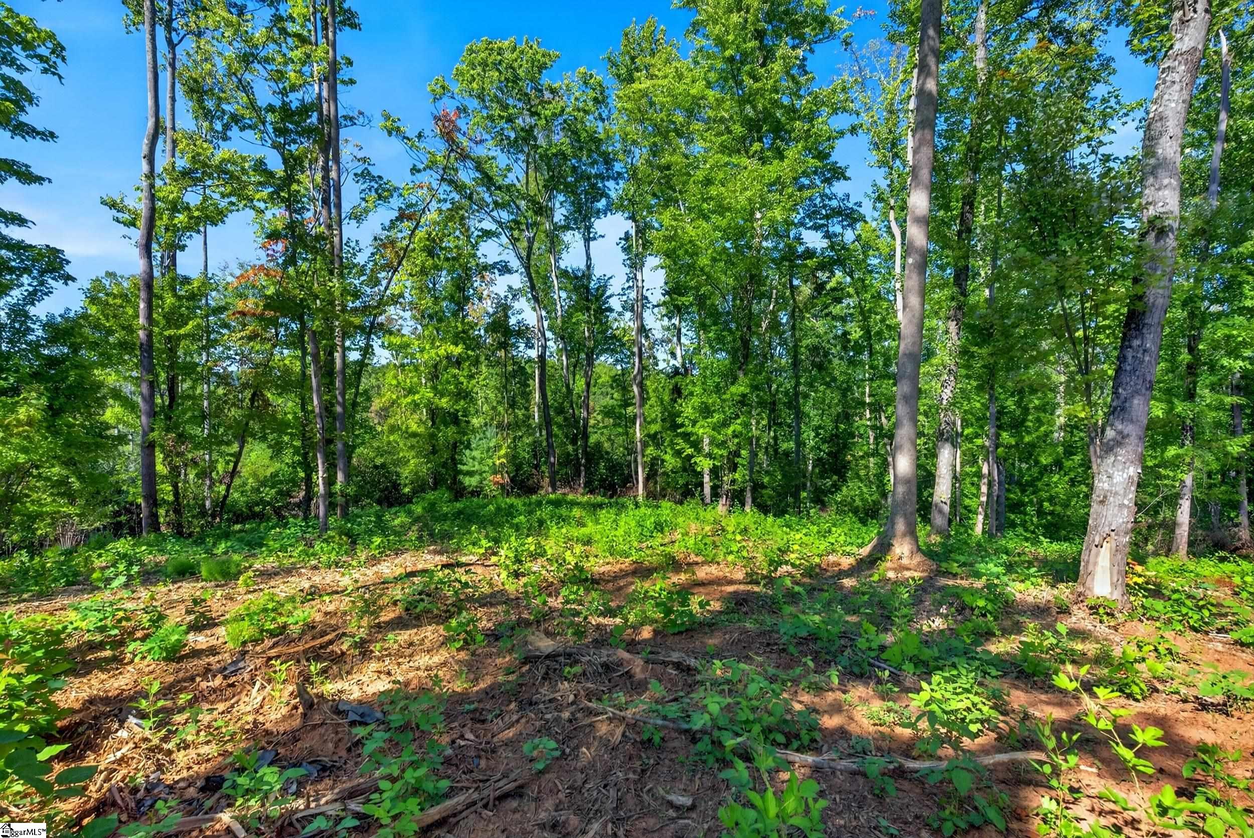520 Chinquapin Road Property Photo 13
