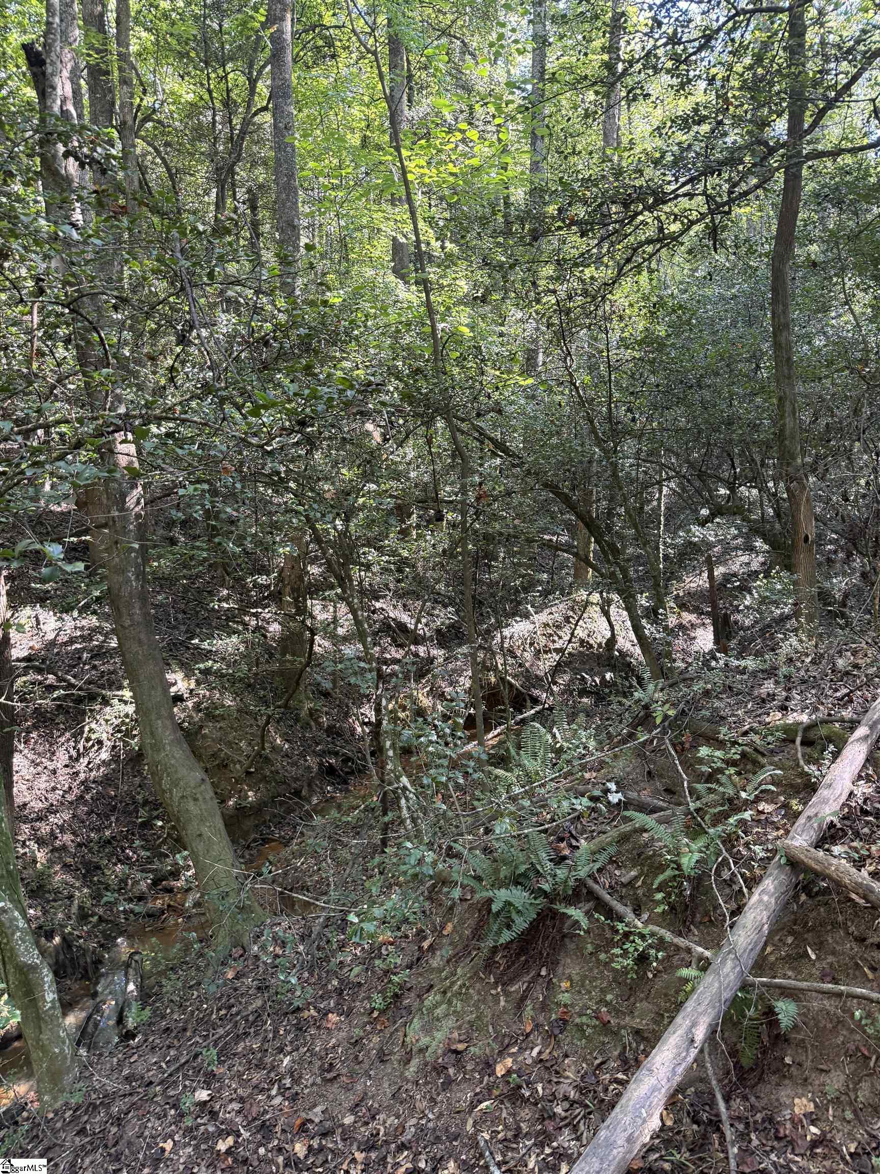1605922 Property Photo 4
