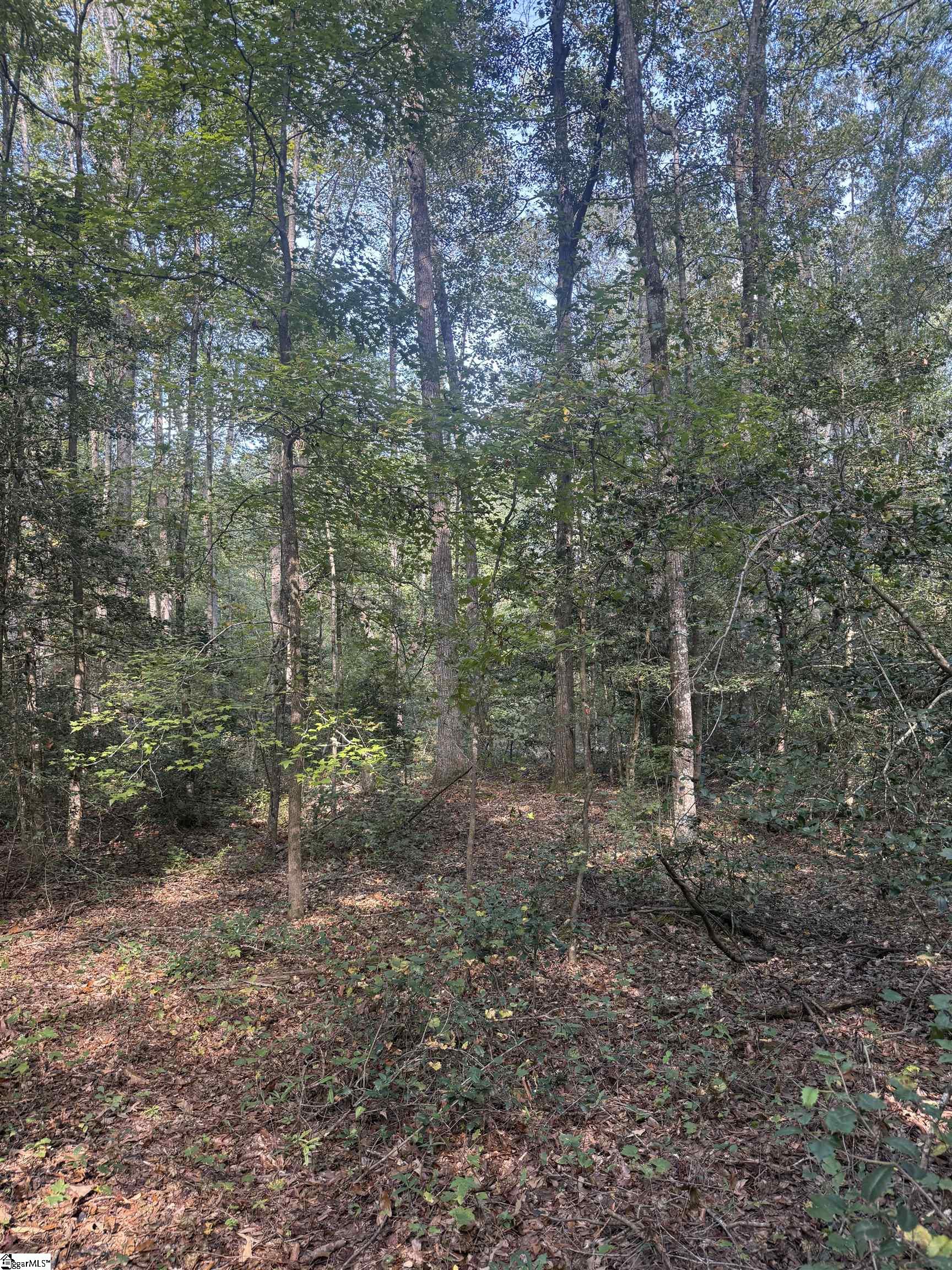 1605922 Property Photo 10
