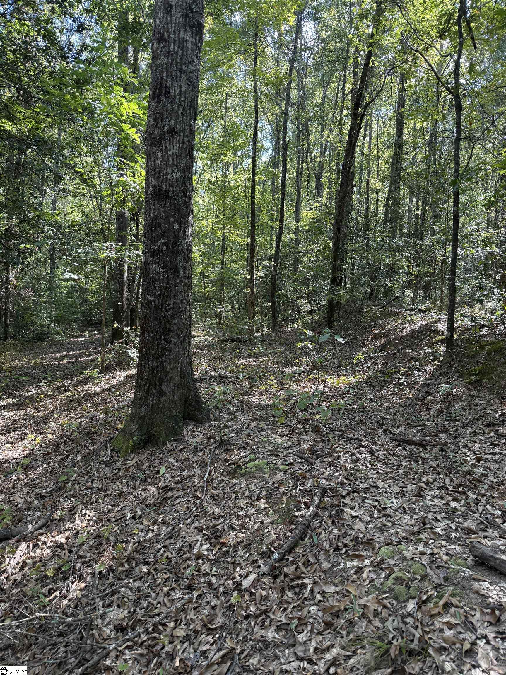 1605922 Property Photo 14