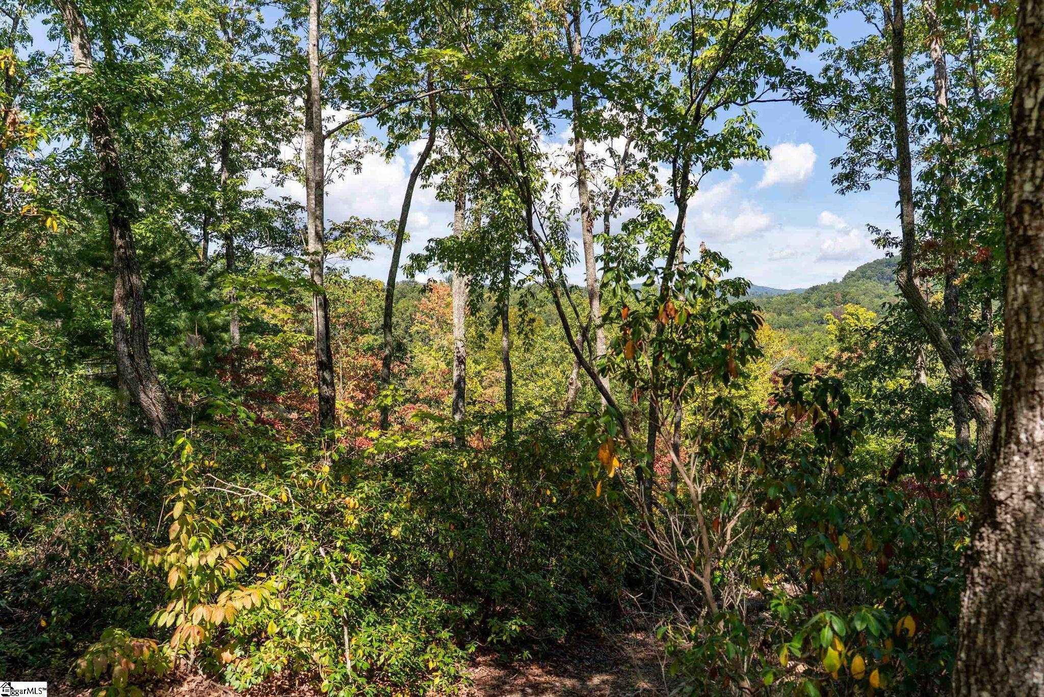 12 Cedar Waxwing Way Property Photo 5