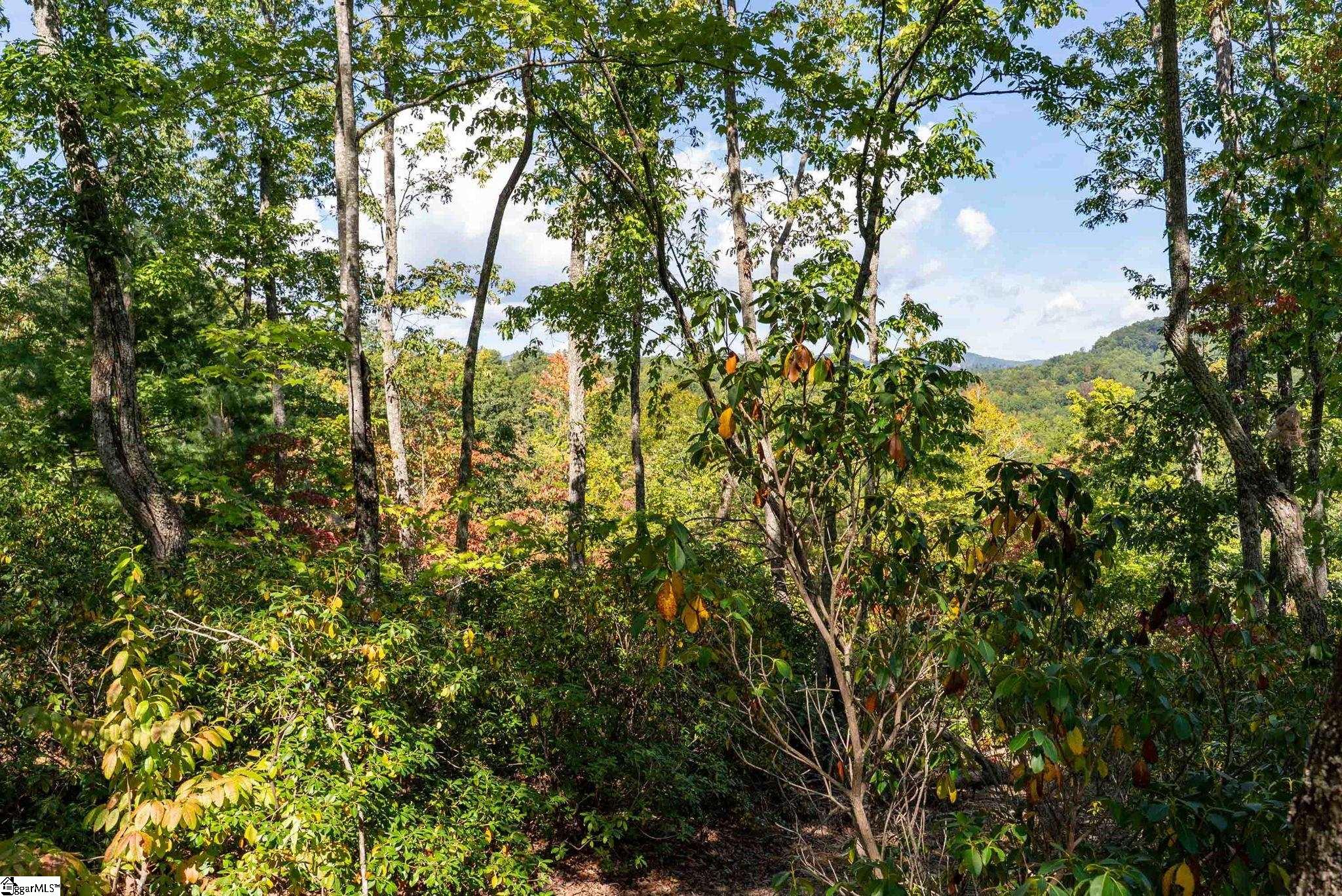 12 Cedar Waxwing Way Property Photo 6