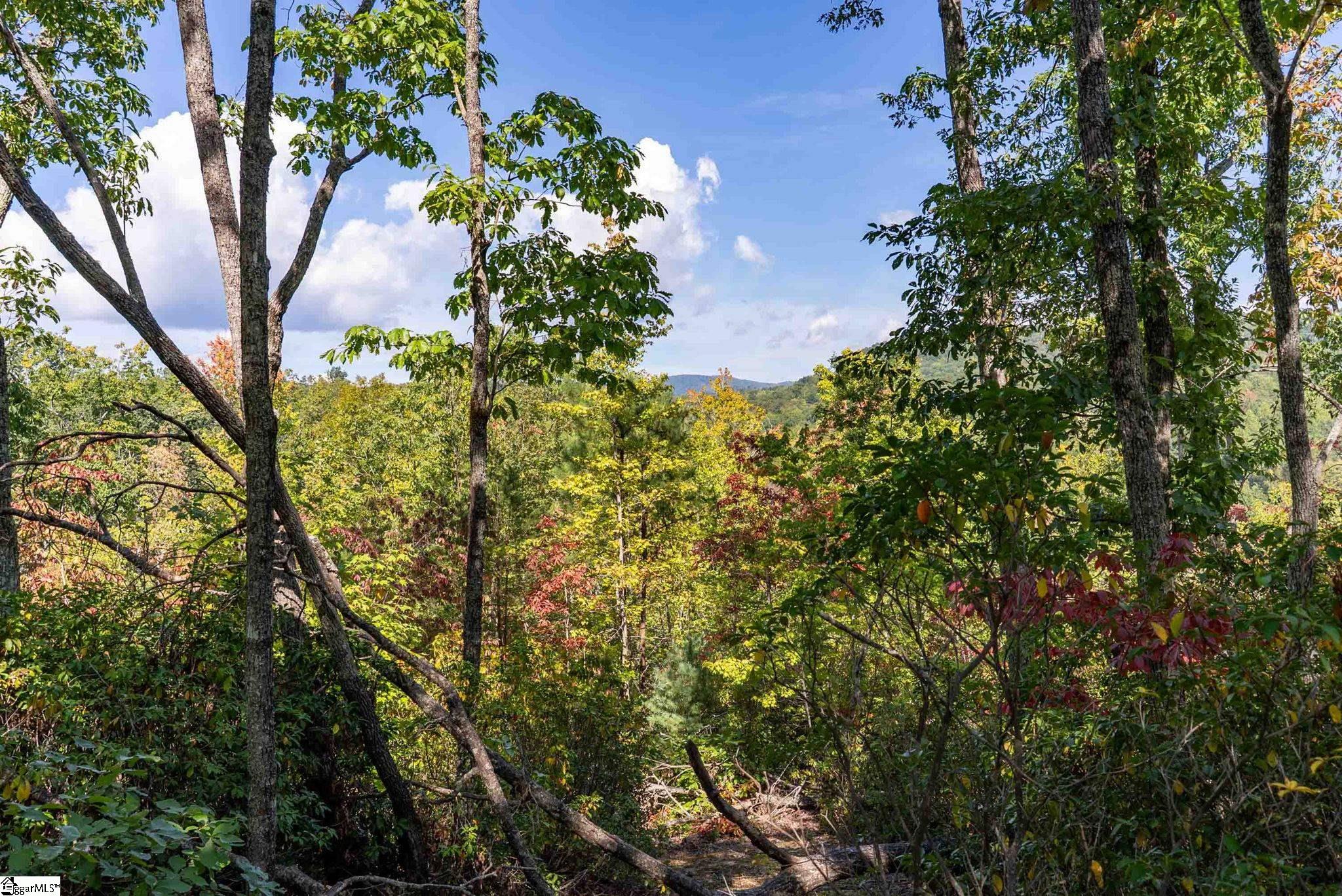 12 Cedar Waxwing Way Property Photo 7