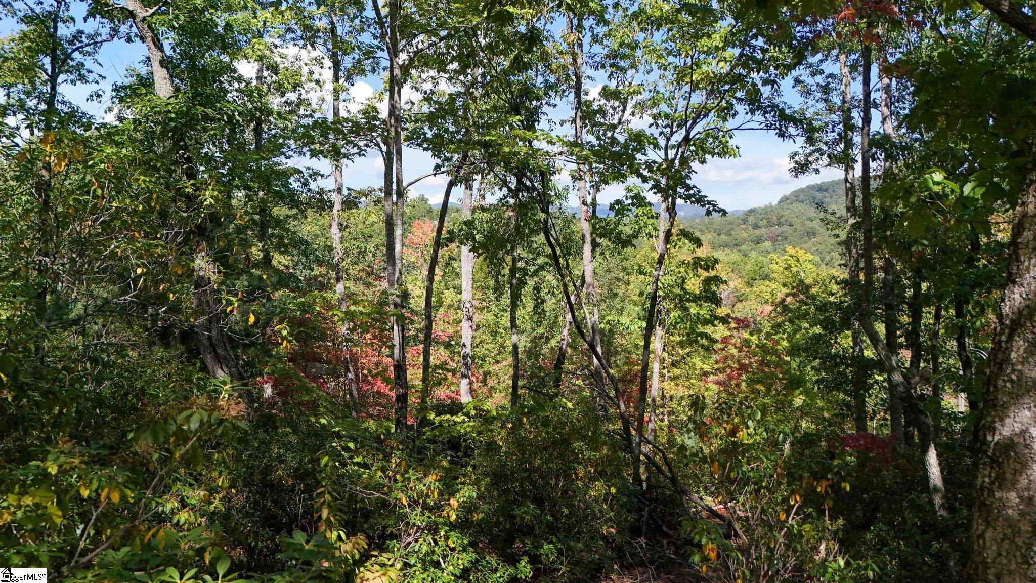 12 Cedar Waxwing Way Property Photo 28