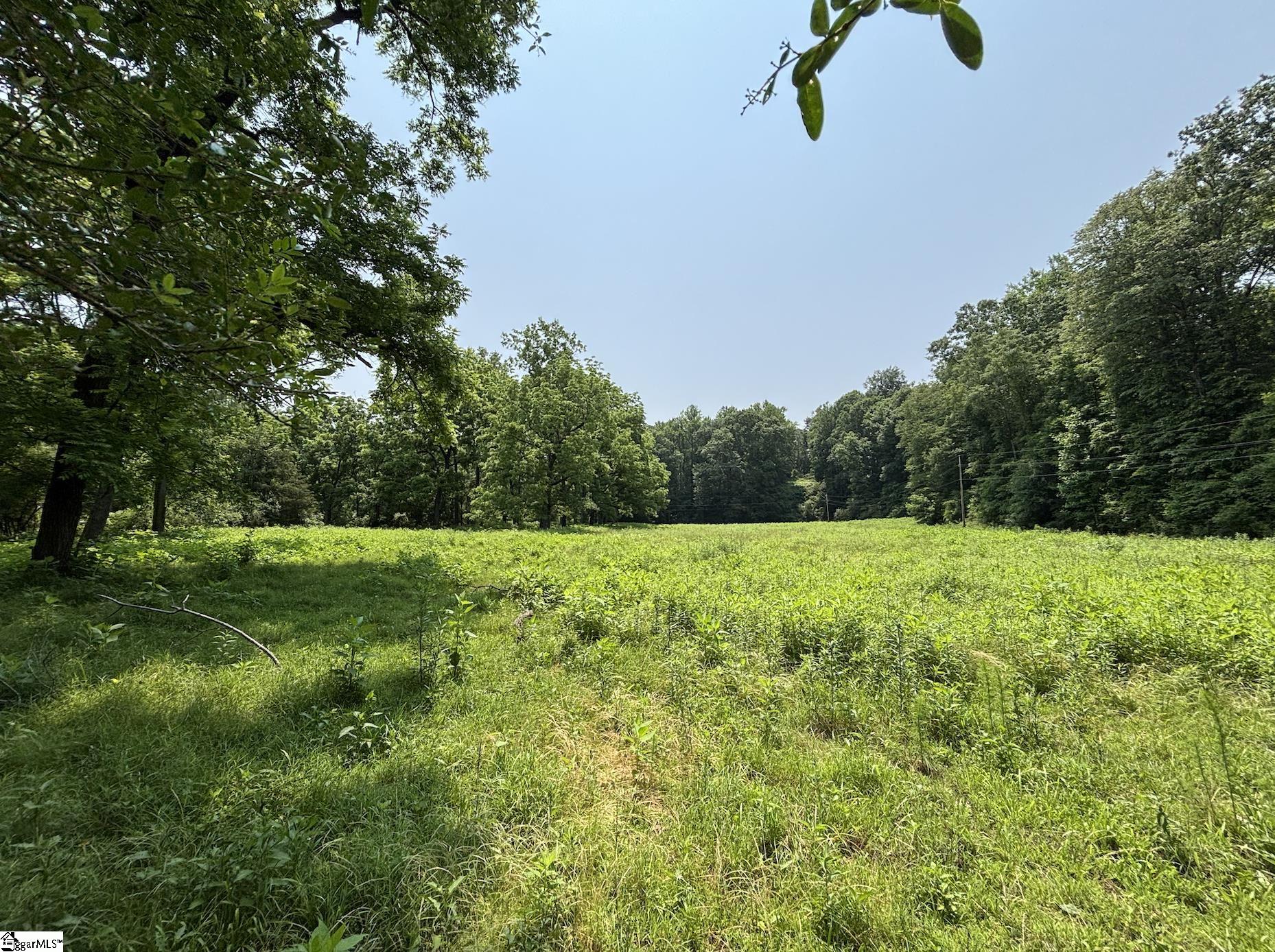 199 Johns Mill Road Property Photo 8