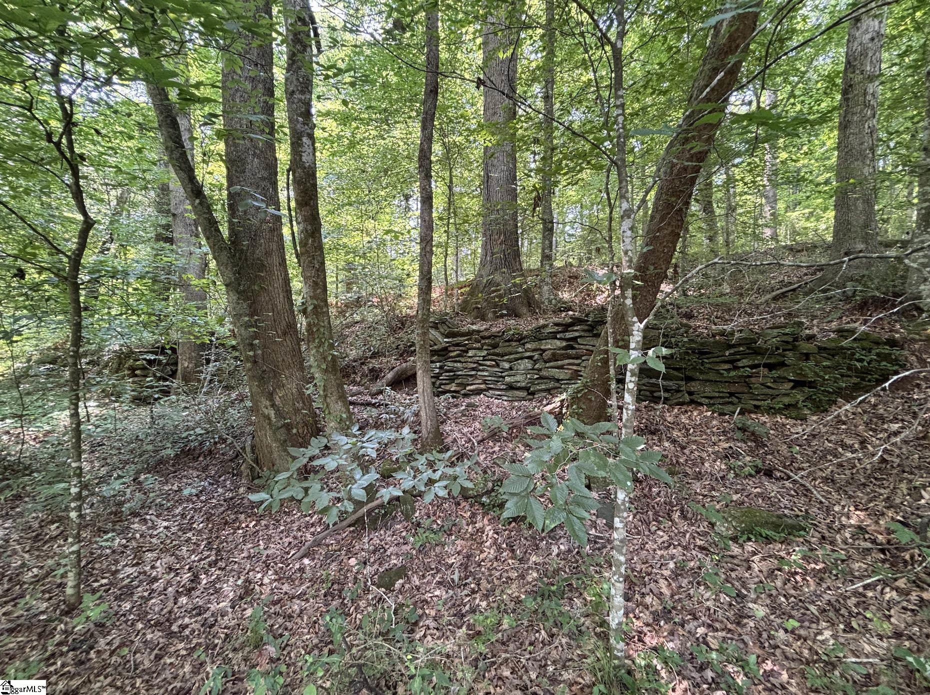 199 Johns Mill Road Property Photo 12