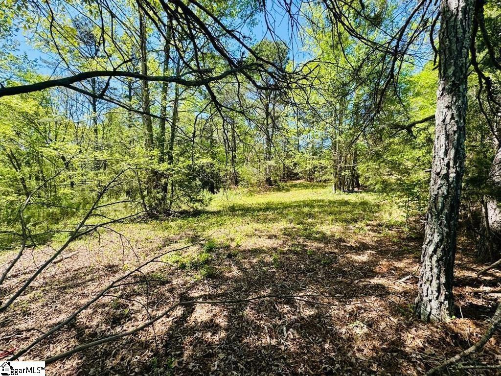 10389 Indian Mound Road Property Photo 9