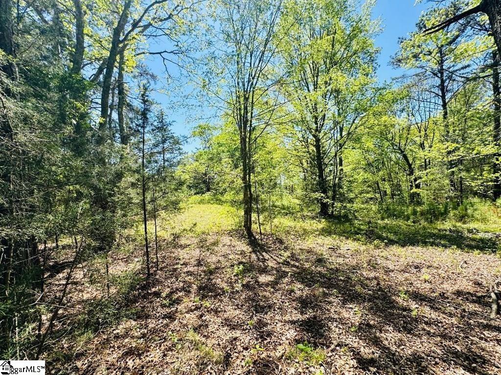 10389 Indian Mound Road Property Photo 10