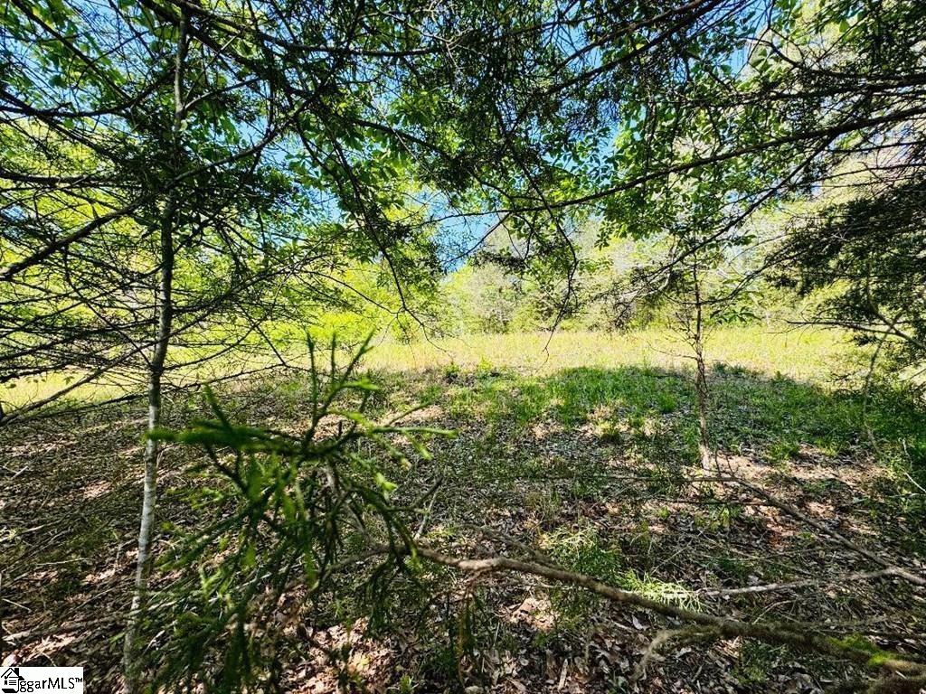 10389 Indian Mound Road Property Photo 11
