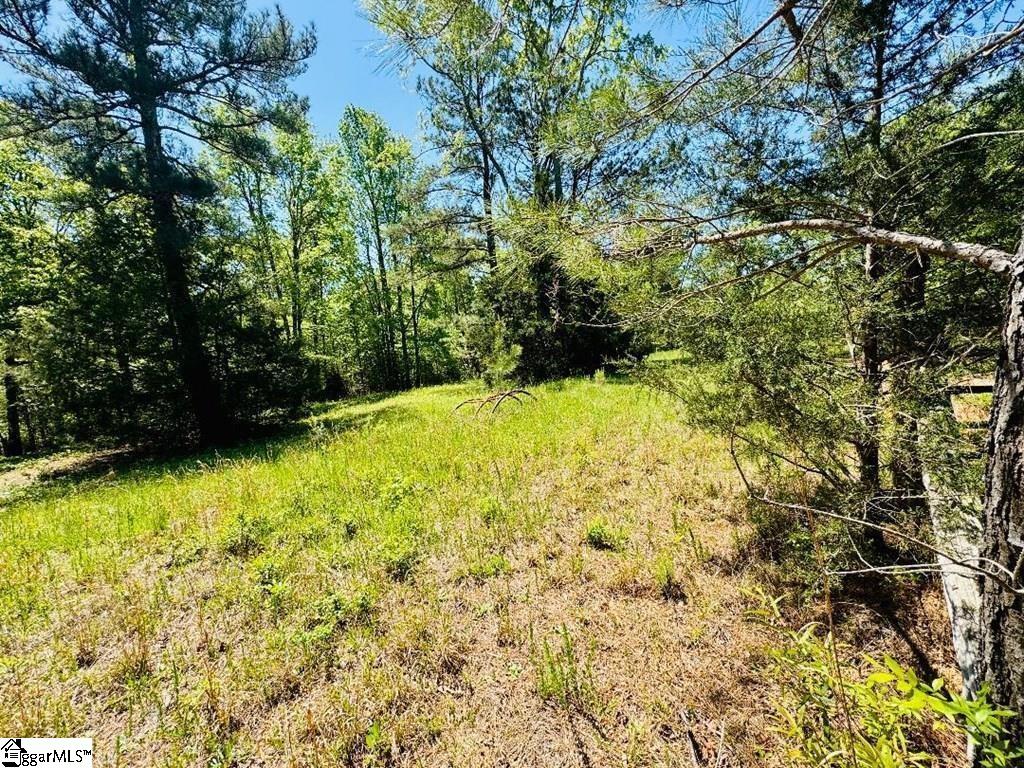 10389 Indian Mound Road Property Photo 12