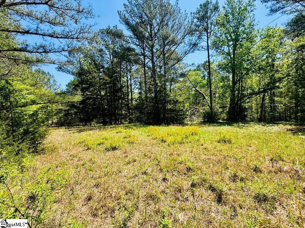 10389 Indian Mound Road Property Photo 13