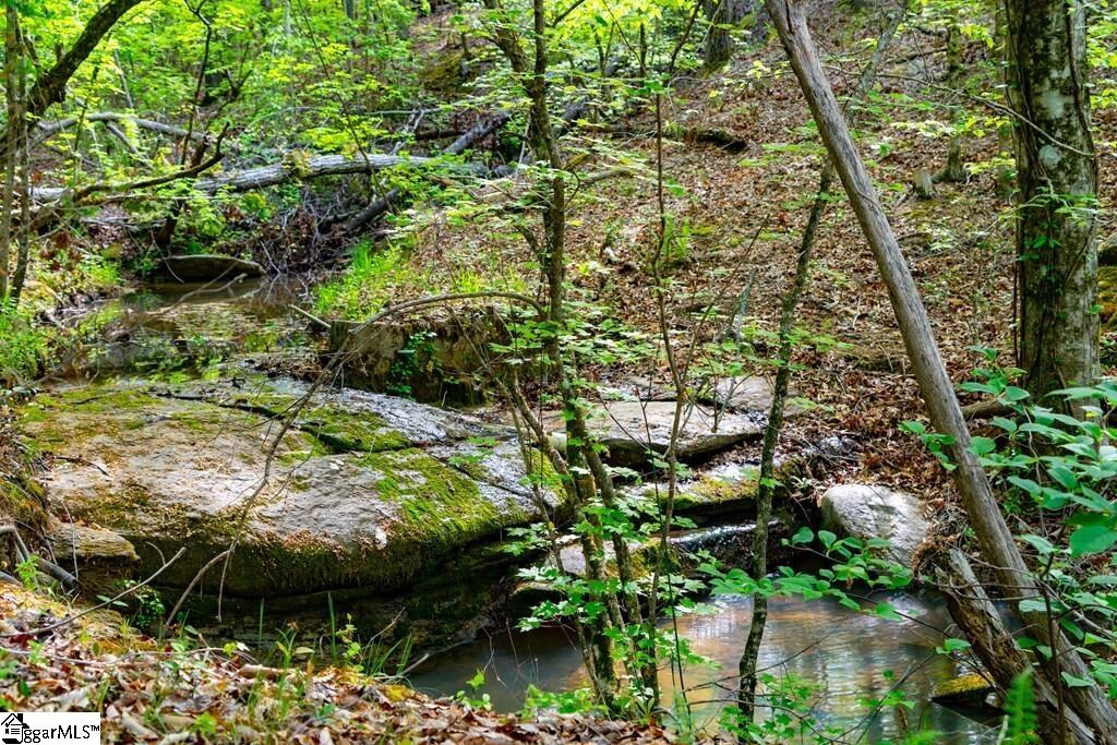 10389 Indian Mound Road Property Photo 14