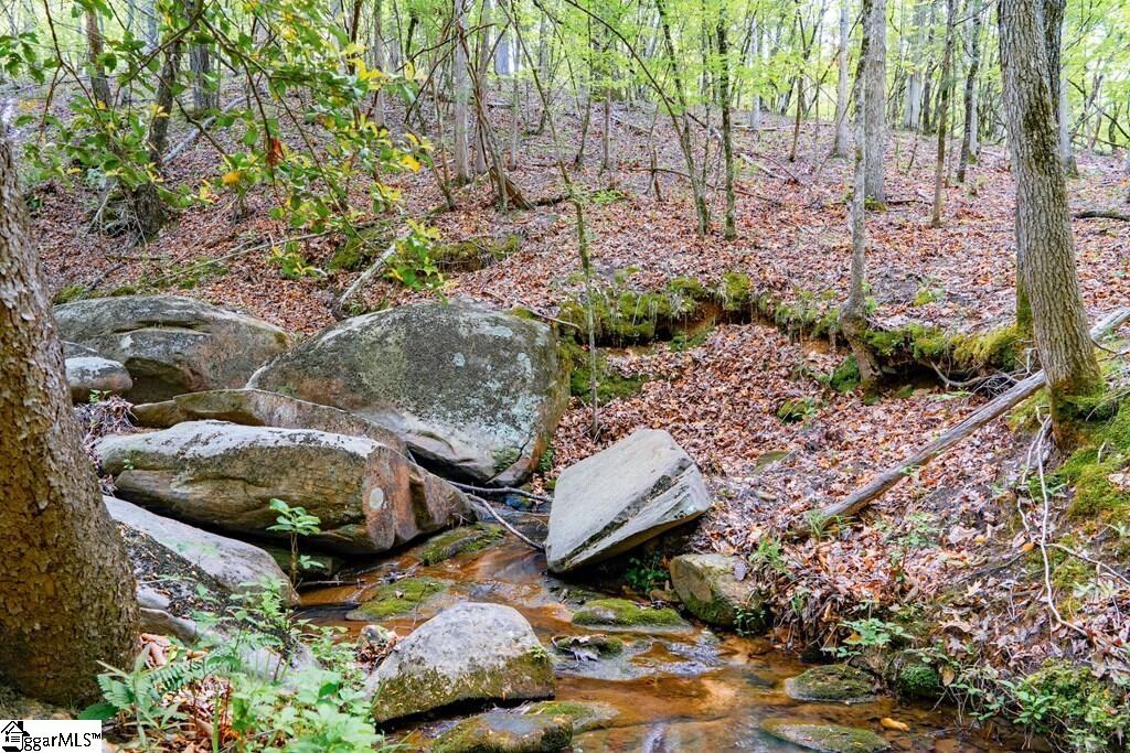 10389 Indian Mound Road Property Photo 16