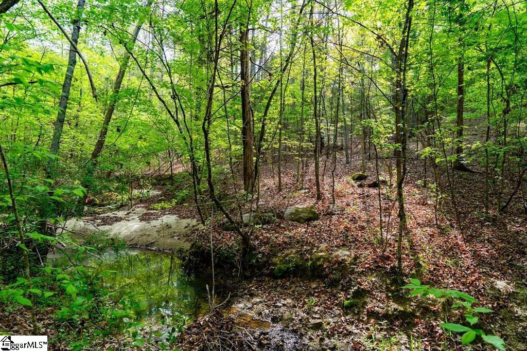 10389 Indian Mound Road Property Photo 17