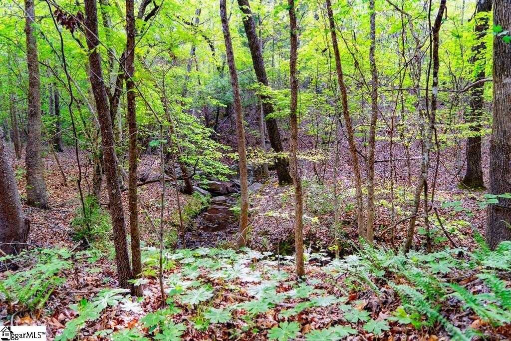 10389 Indian Mound Road Property Photo 19